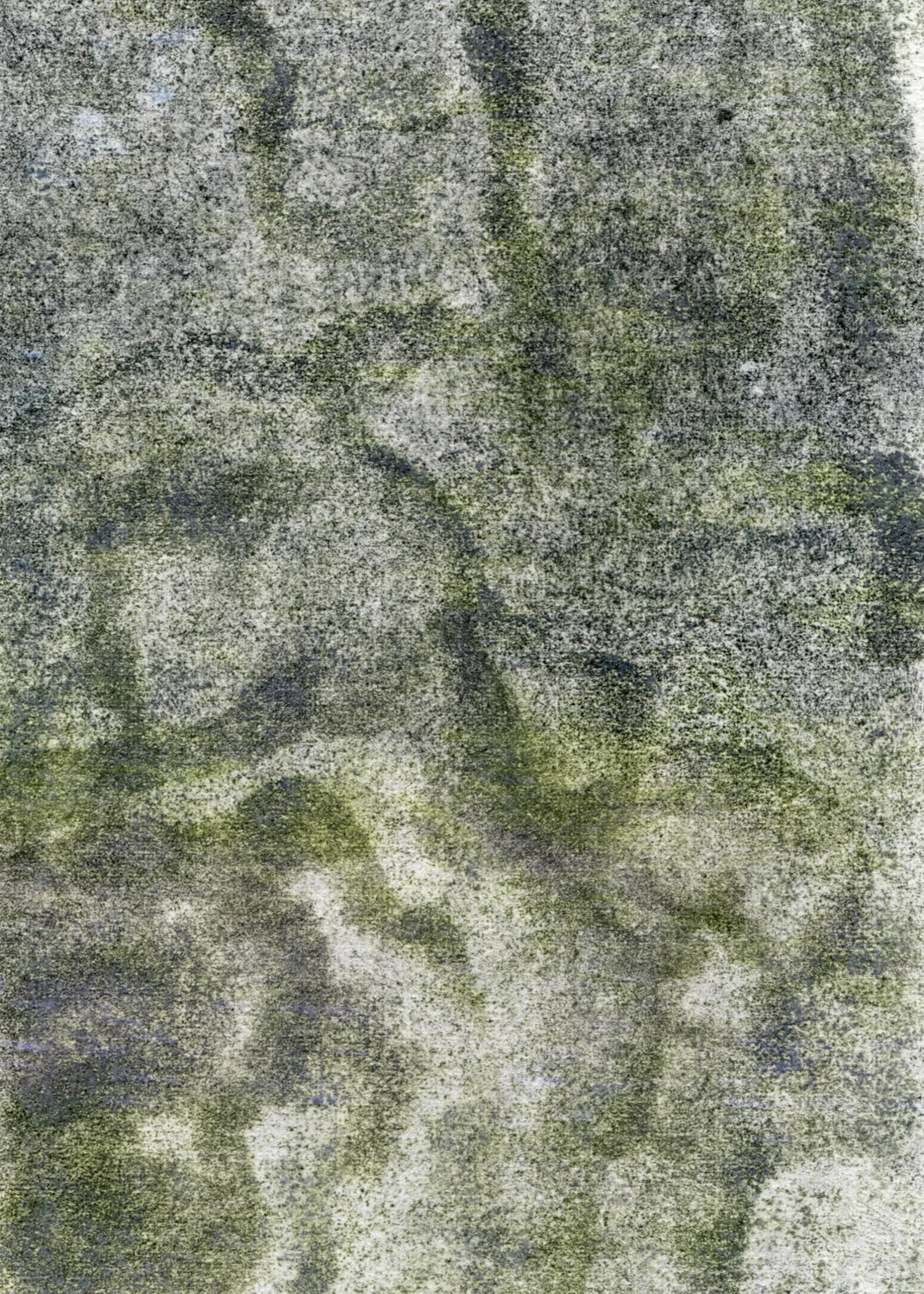 81003.jpg