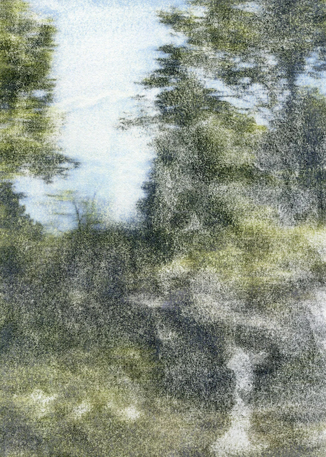 81009.jpg