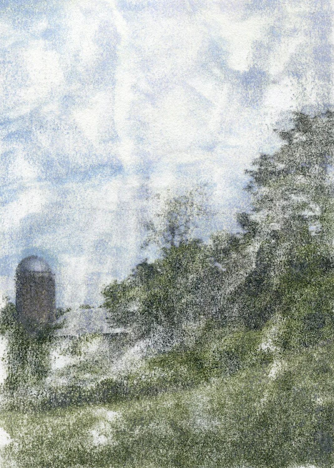 81010.jpg