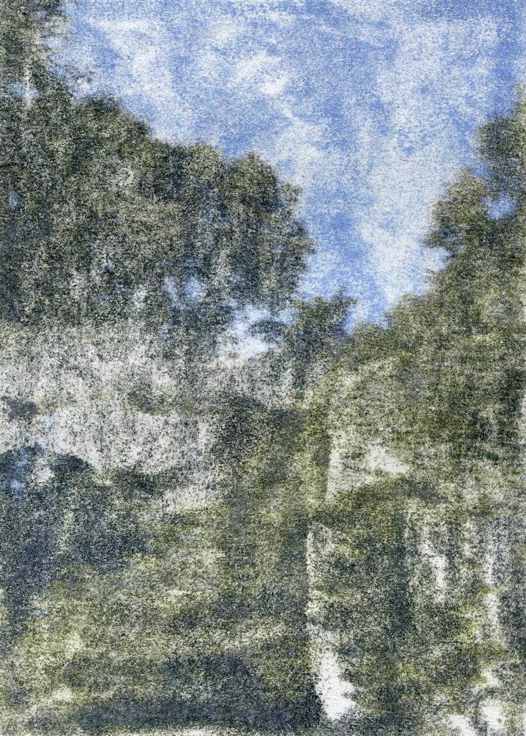81011.jpg