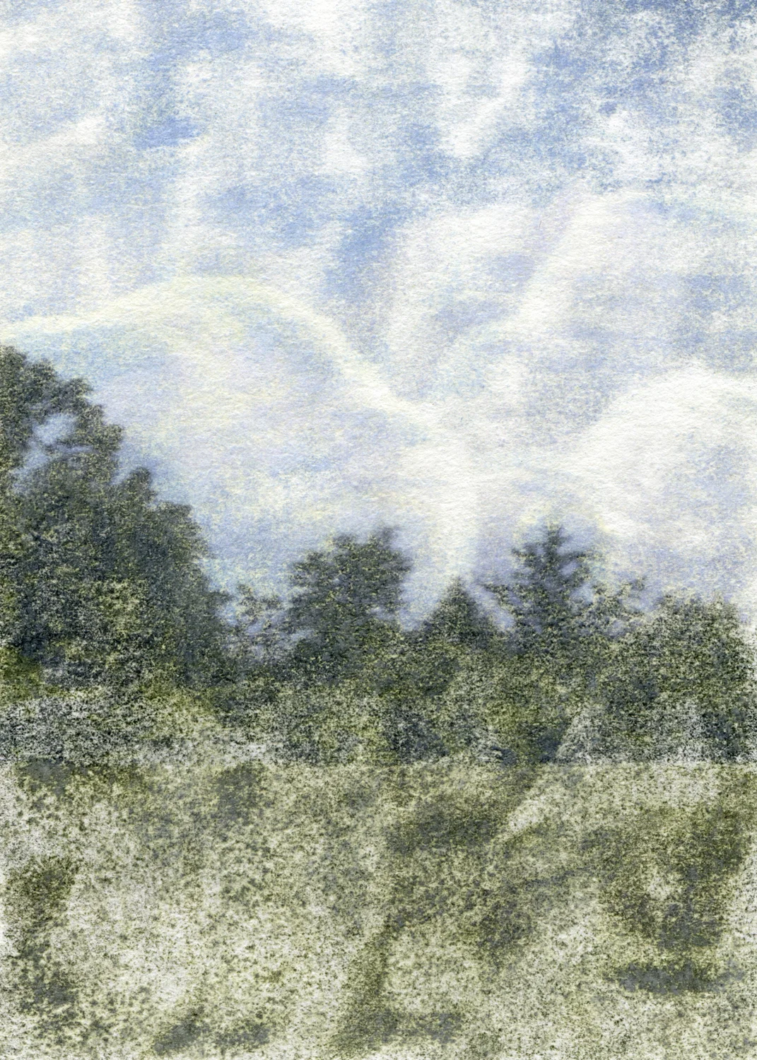 81014.jpg