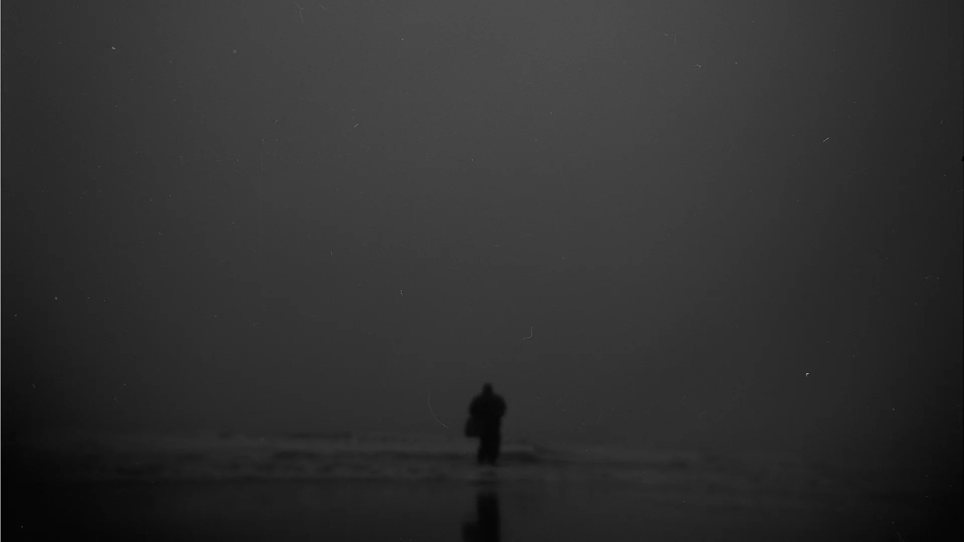   Ocean Beach / San Francisco,CA  