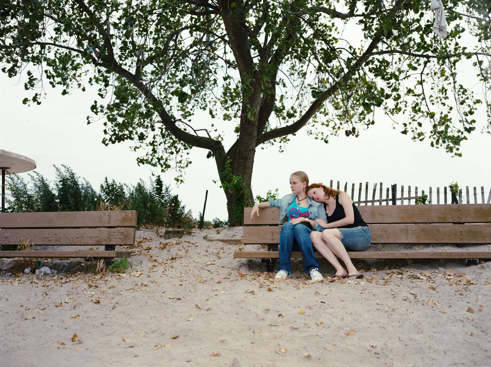 Plum Beach, Brooklyn NY 2012