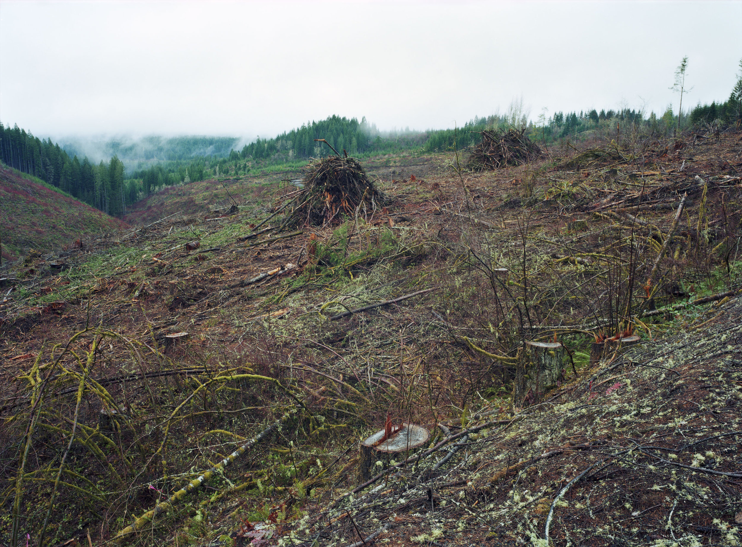 Clatsop, Oregon 2014