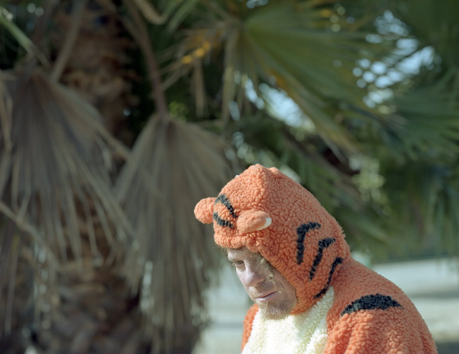 todd tigger 2.jpg