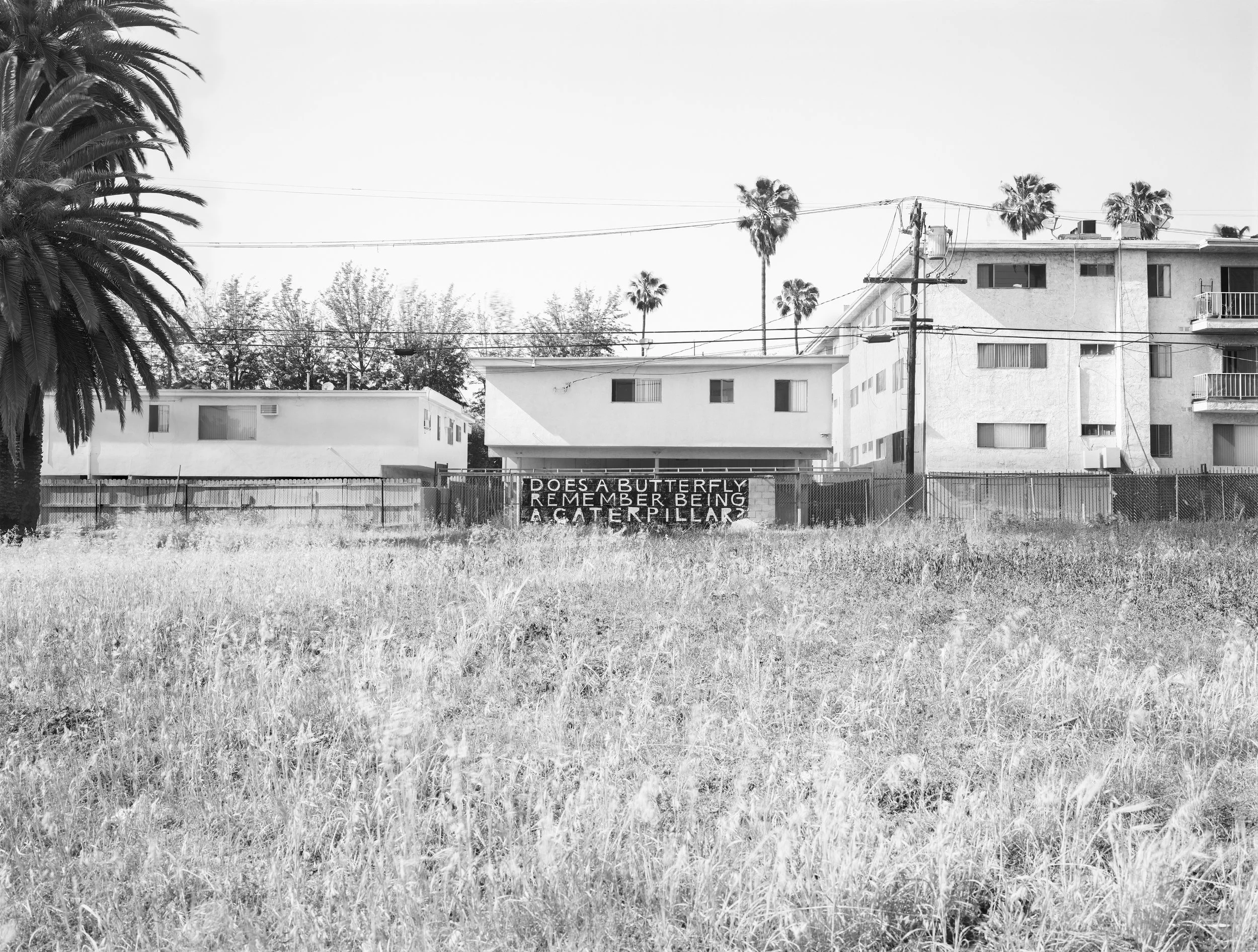 Hollywood, Ca.