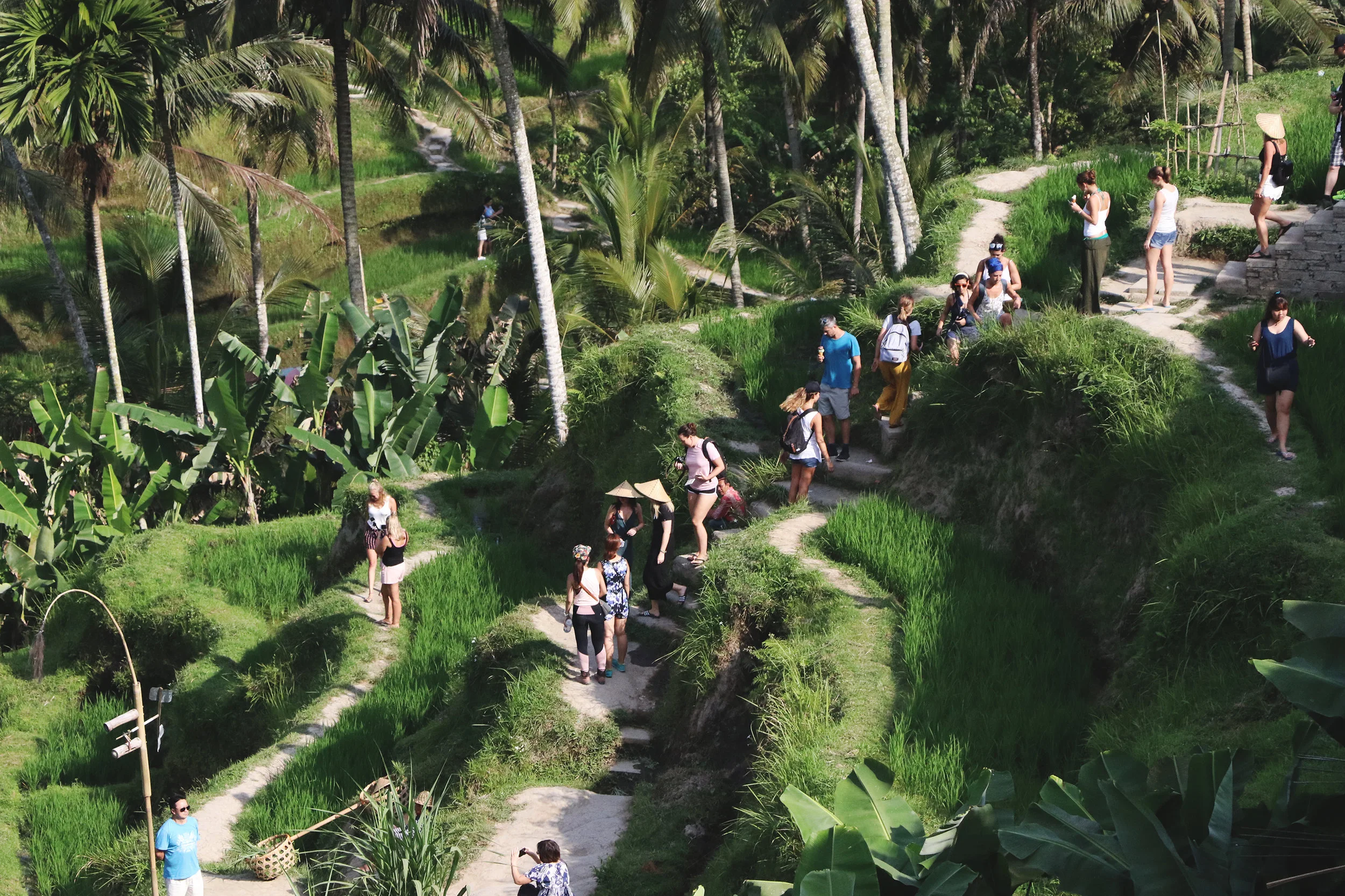 Travel to Bali
