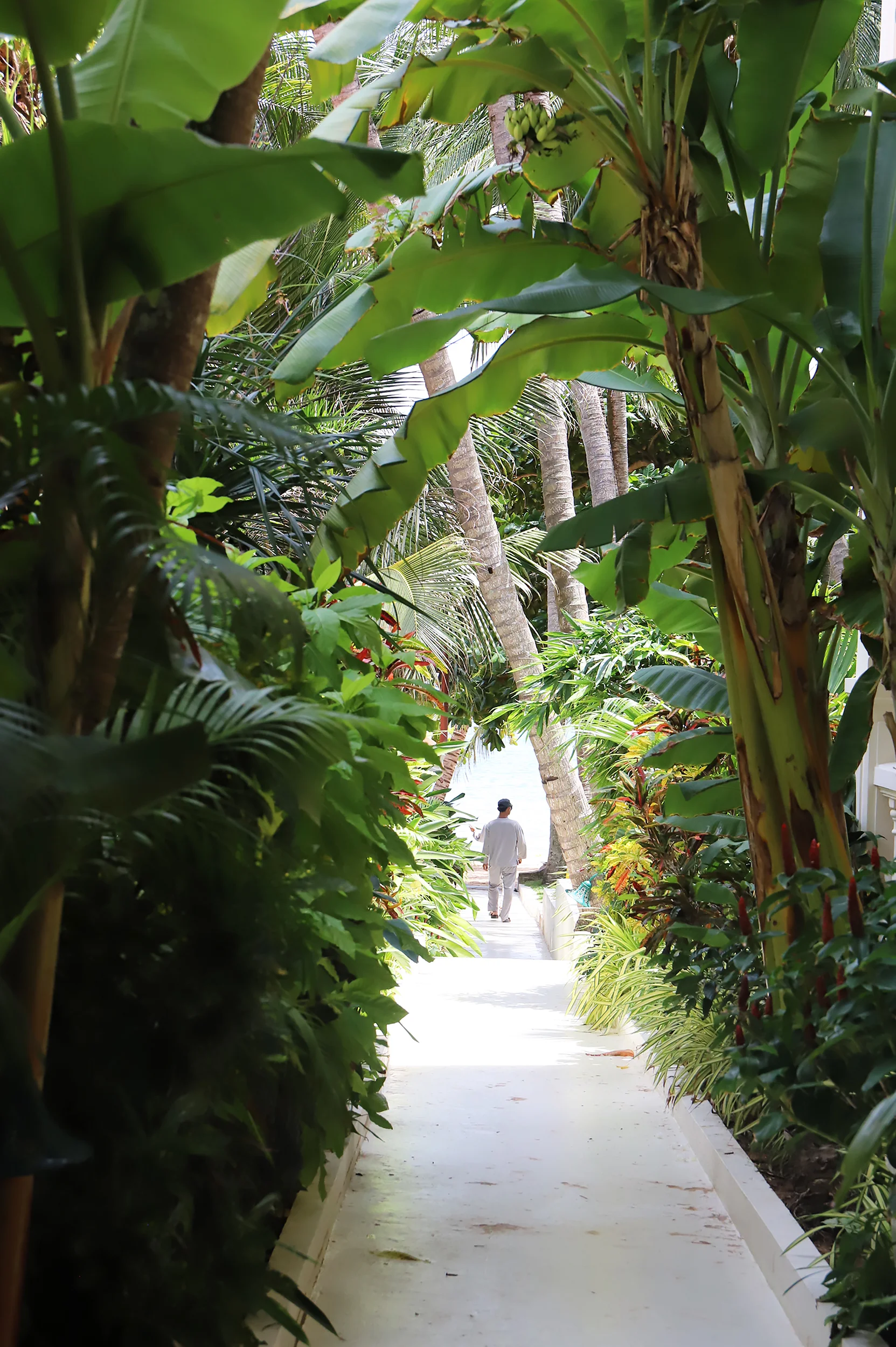 Tropical hotel goals.