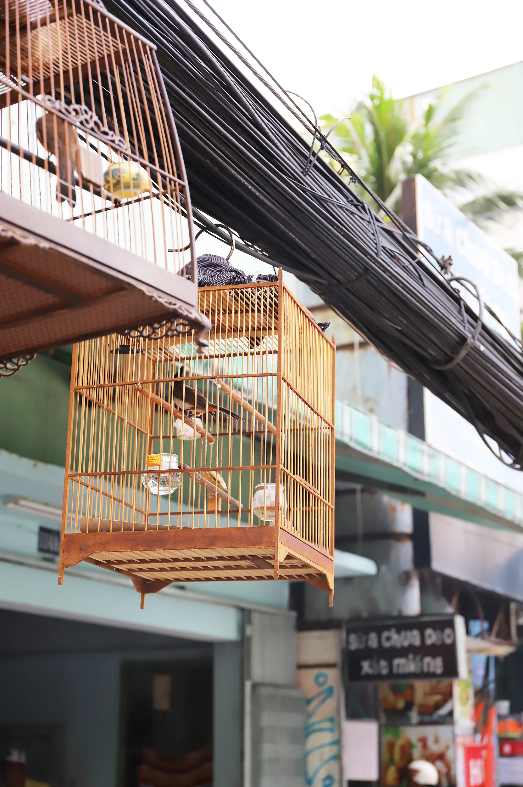 Random Ho Chi Minh City.