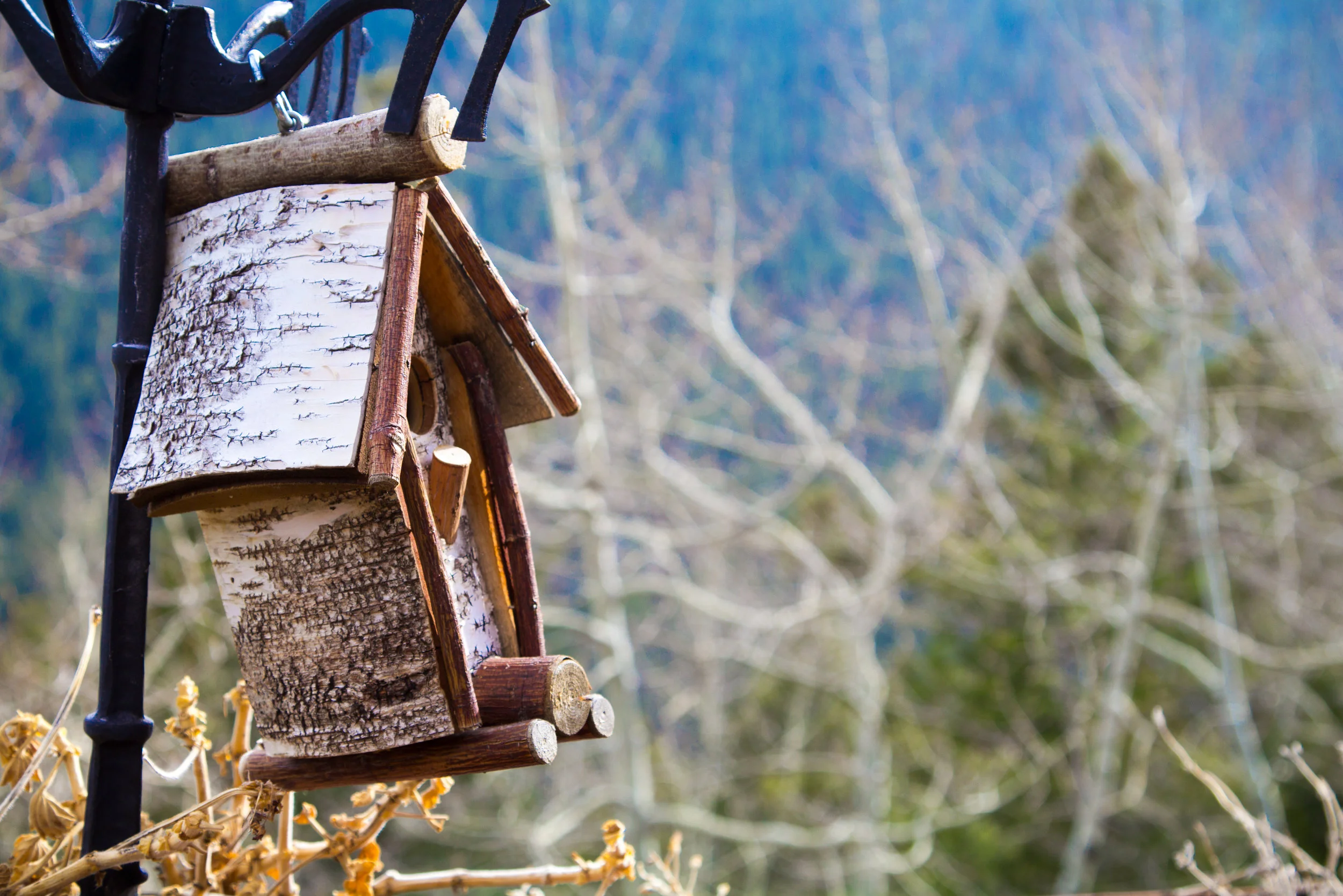 Birdhouse.jpg