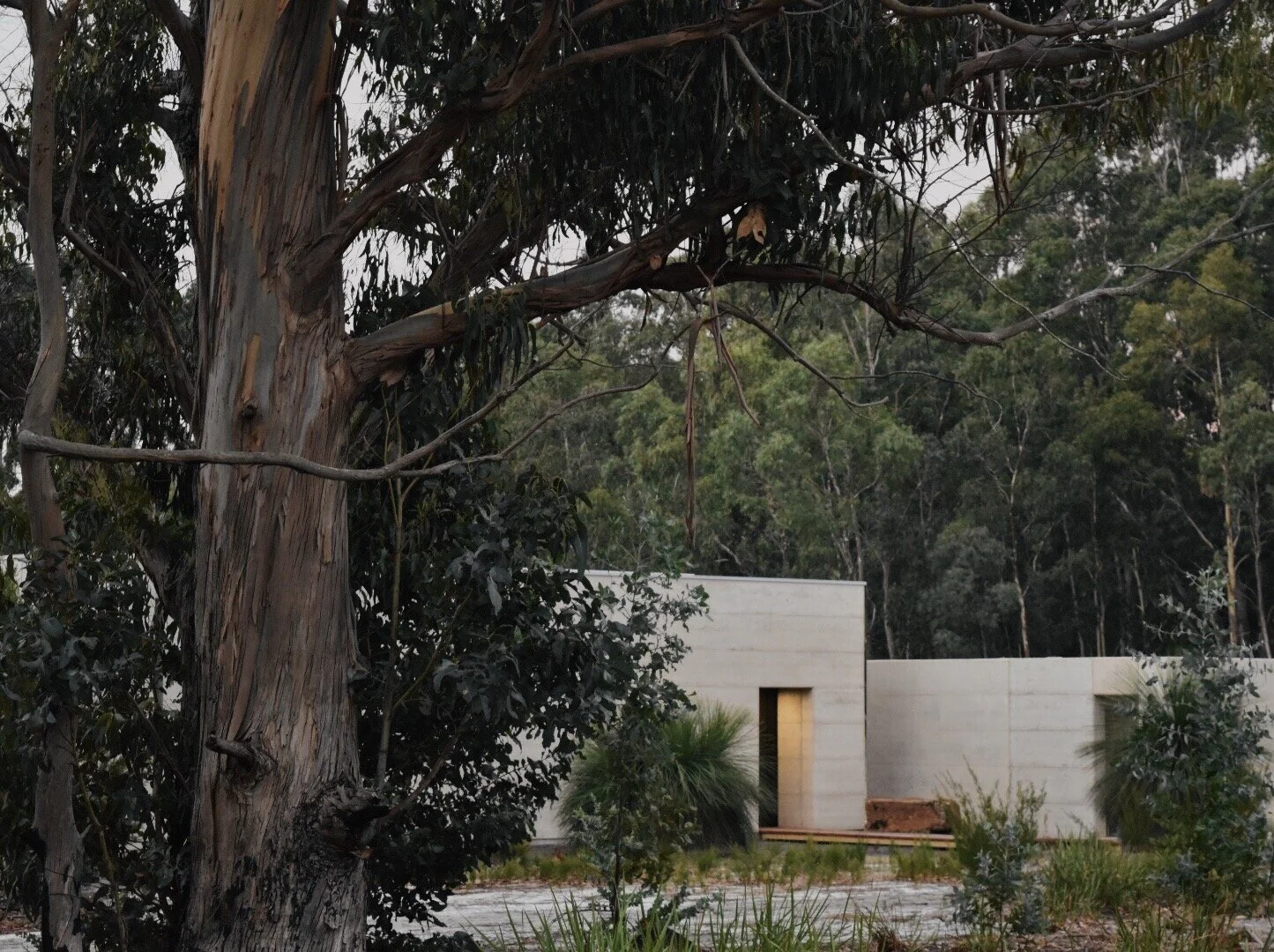 Wilderness_Exterior03.JPG