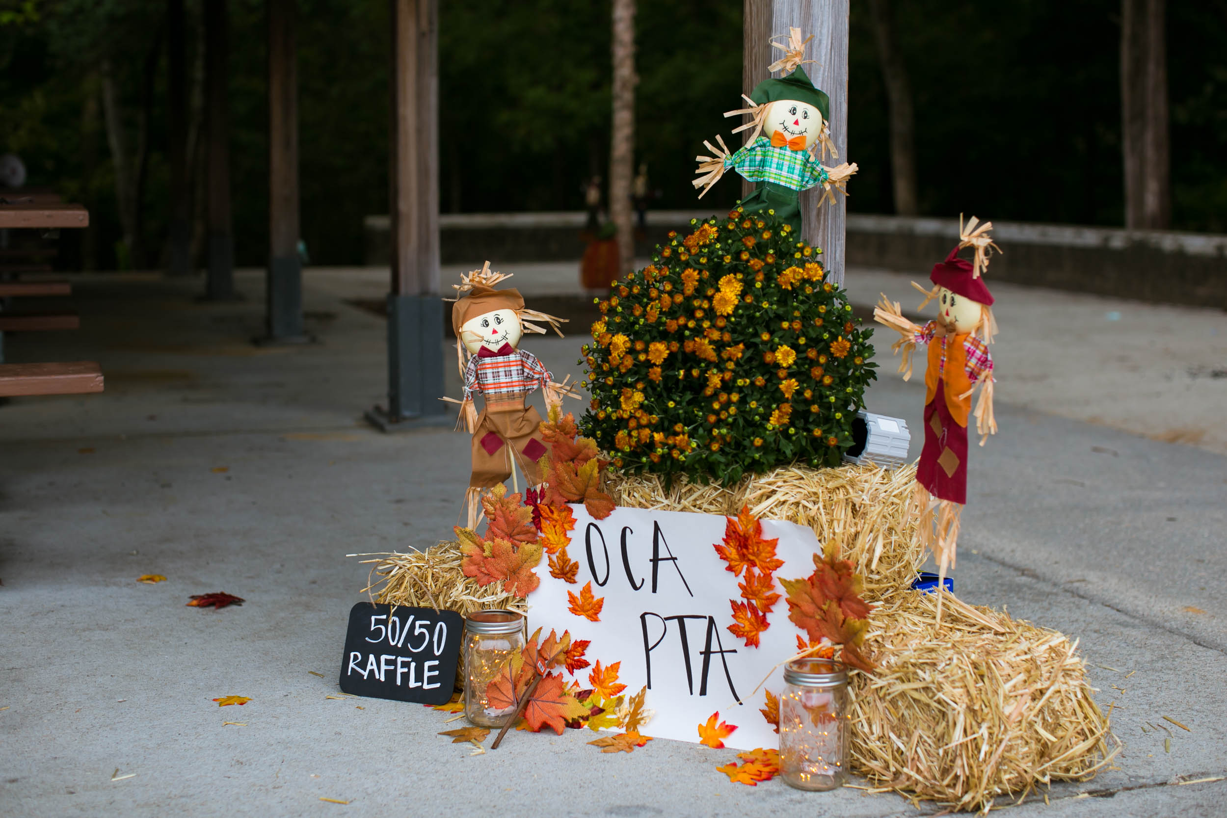 Raleigh Family Photographer | G. Lin Photography | Display in front of patio