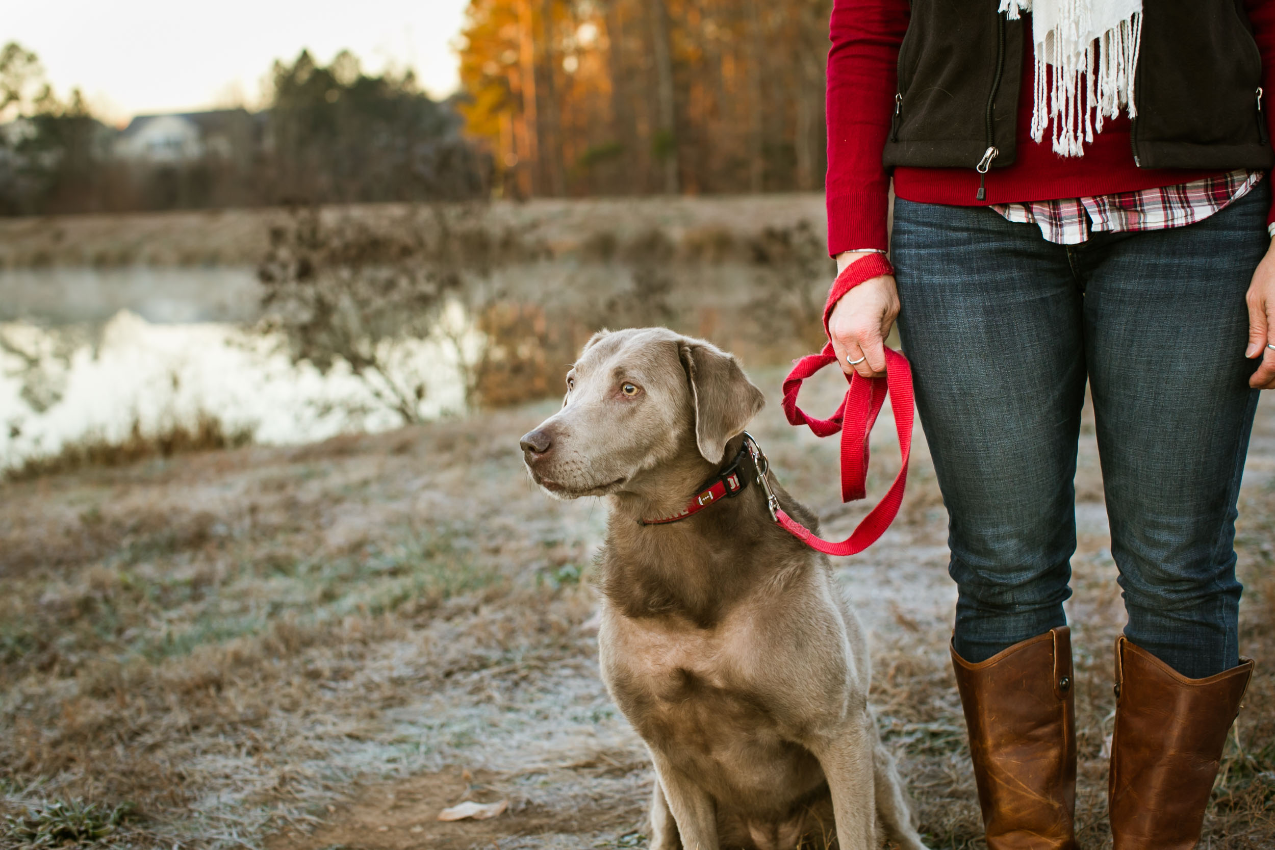 Durham Family Photographer | G. Lin Photography | Dog on leash at park