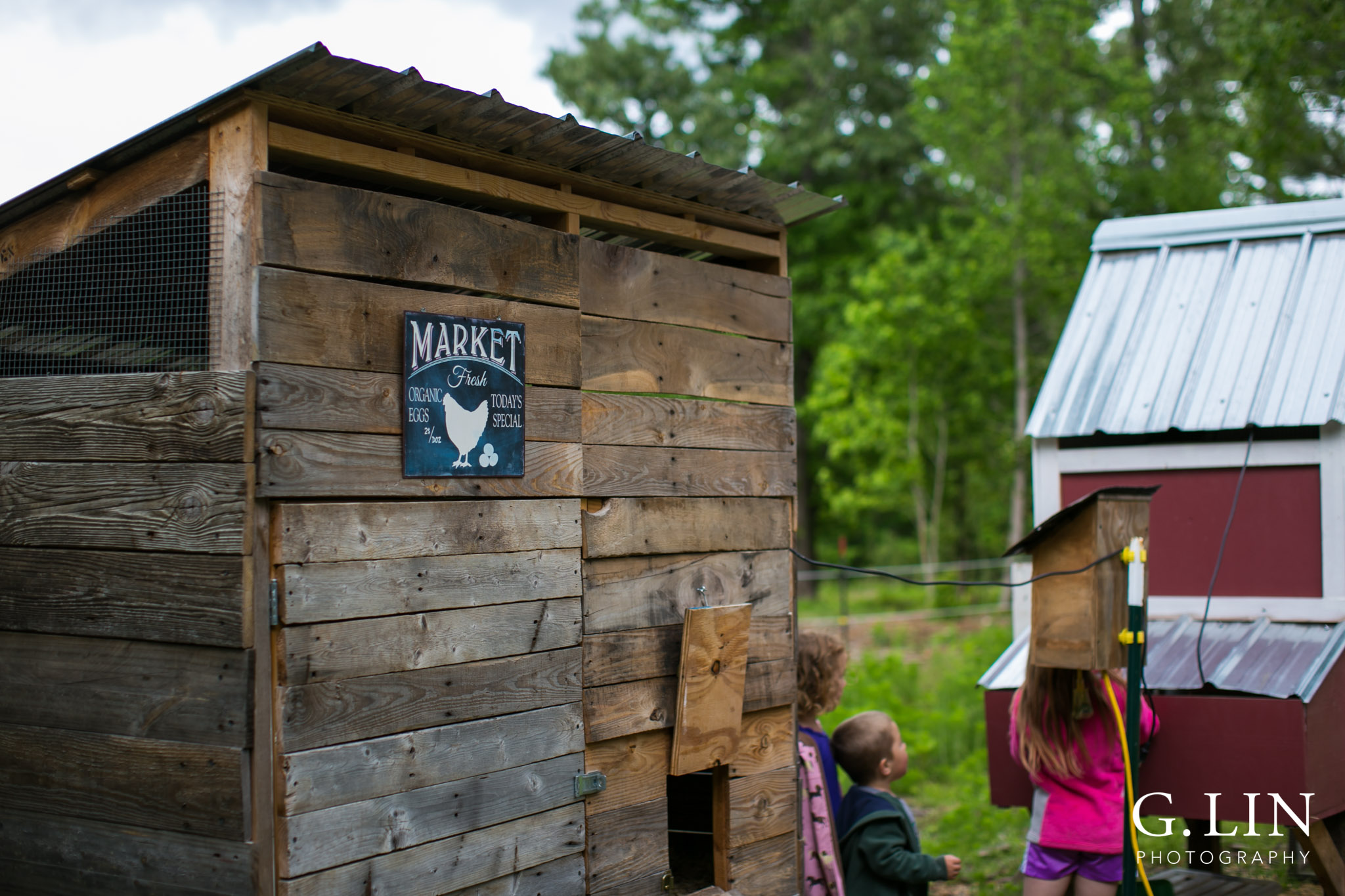 chicken coop on farm in apex nc