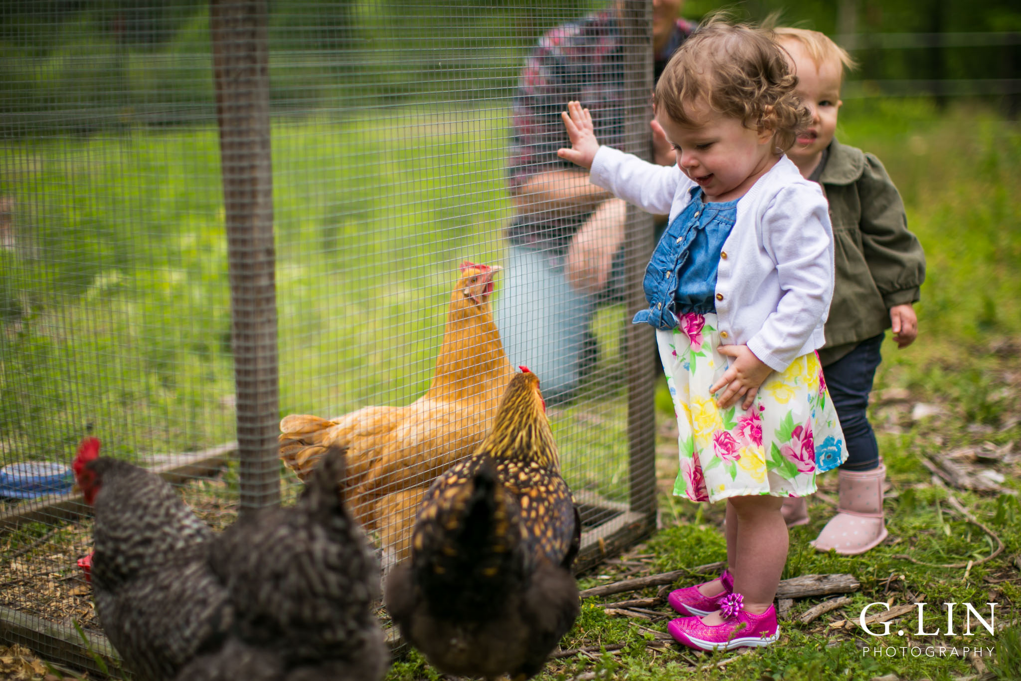 G. Lin Photography | Raleigh Event Photographer | Girl on farm looking at chickens