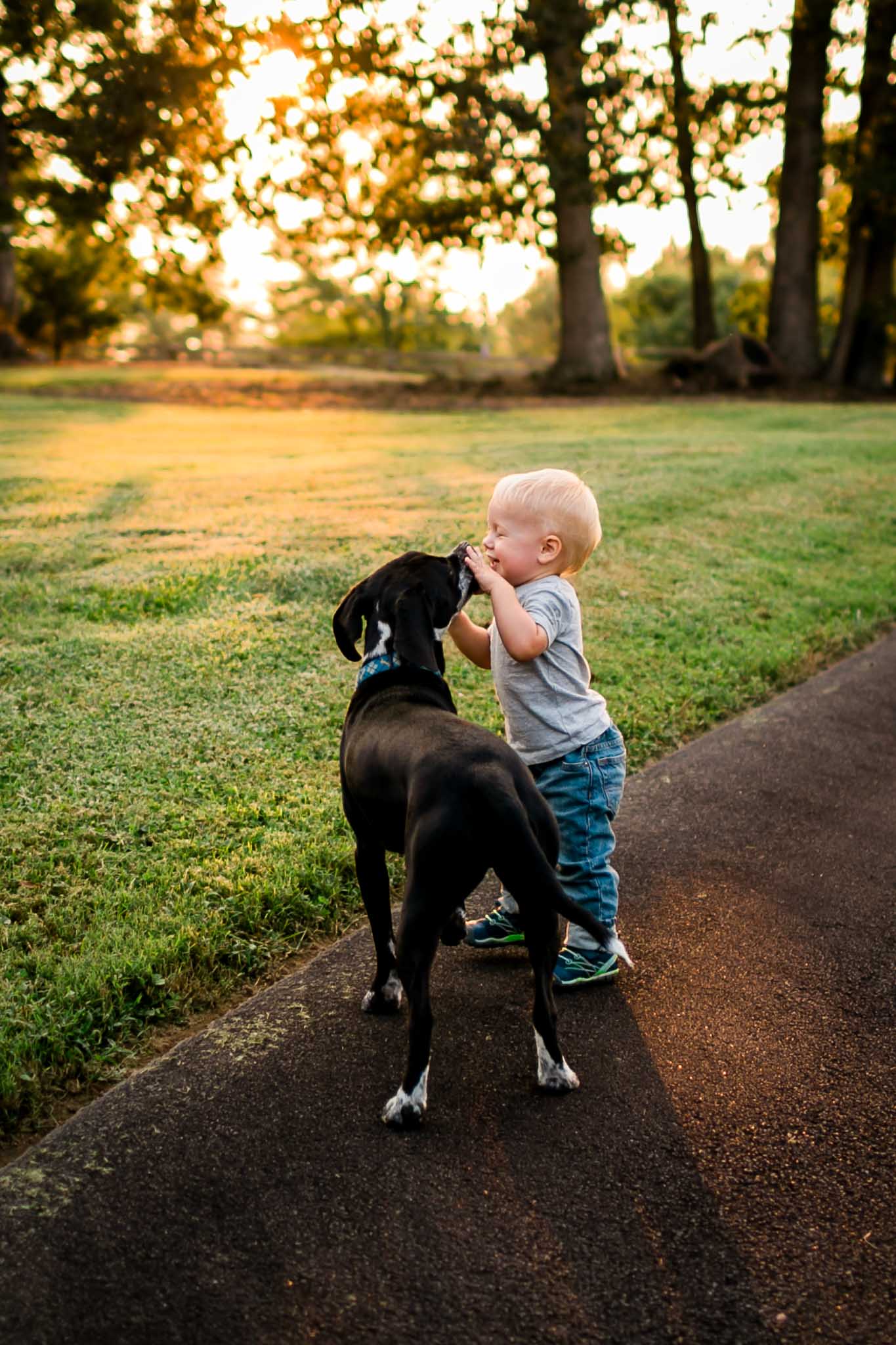 Boy playing with dog | By G. Lin Photography | Rougemont Family Photographer