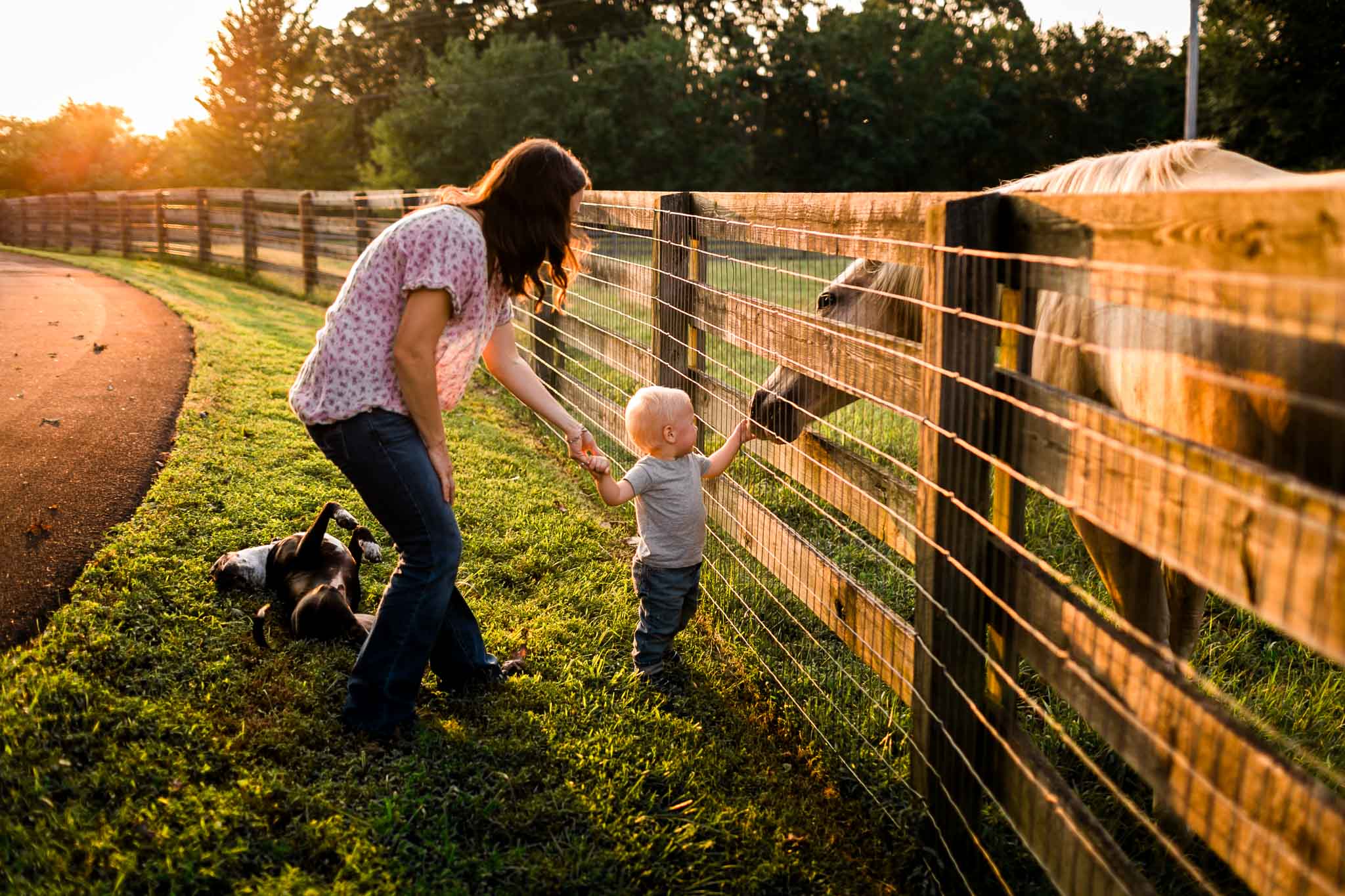 Mom and son feeing horse | By G. Lin Photography | Durham Family Photographer