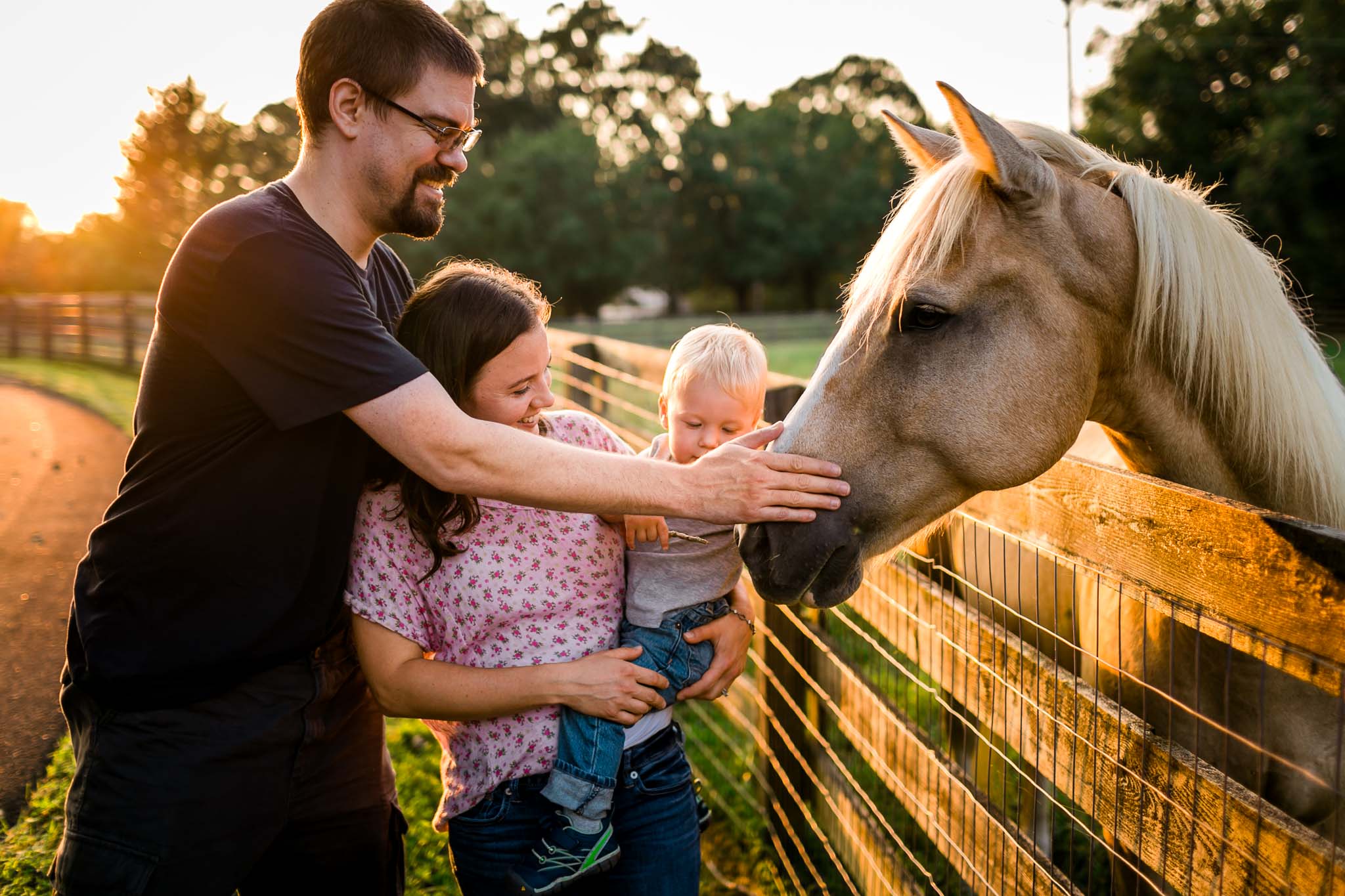 Family petting horse | By G. LIn Photography | Durham Family Photographer