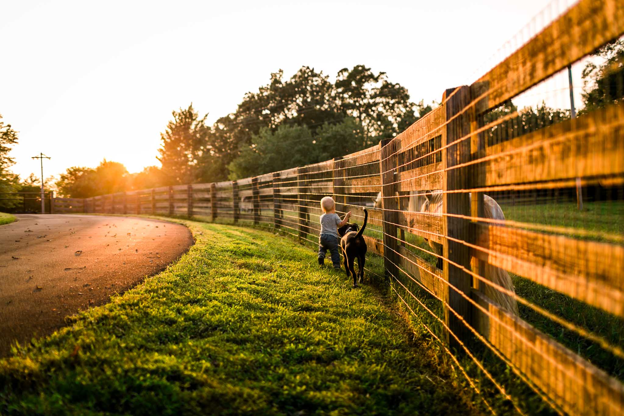 Boy and dog running by fence | By G. Lin Photography | Rougemont Family Photographer