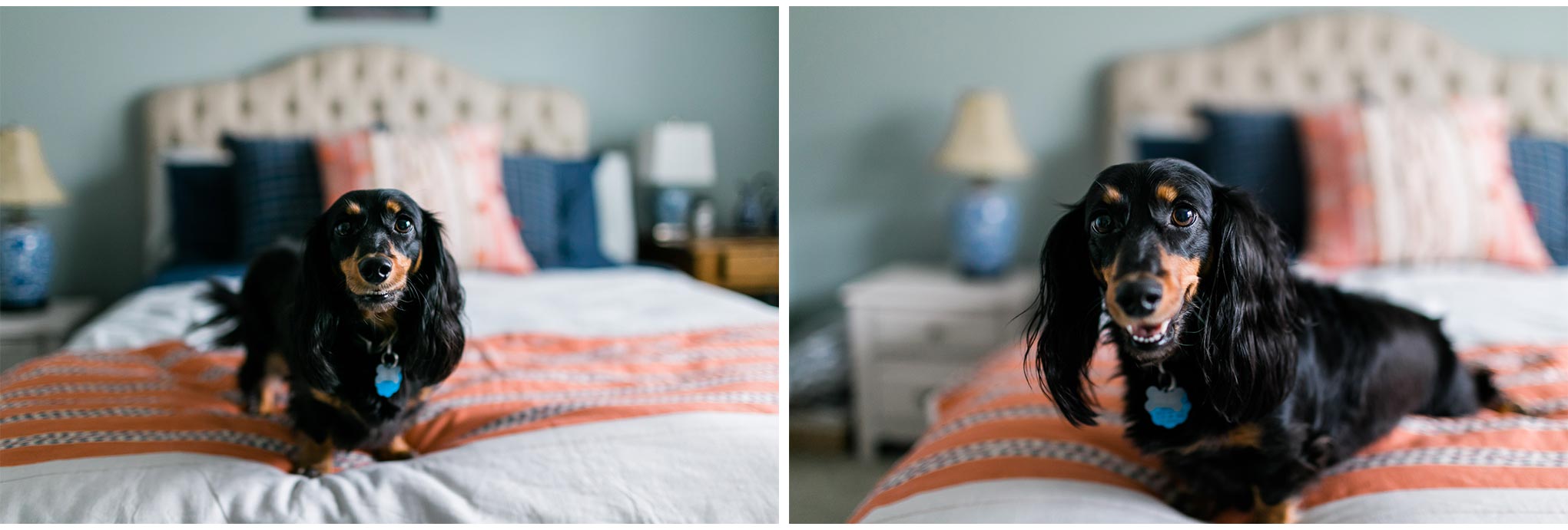 Durham_Newborn_Photographer_Collage1.jpg