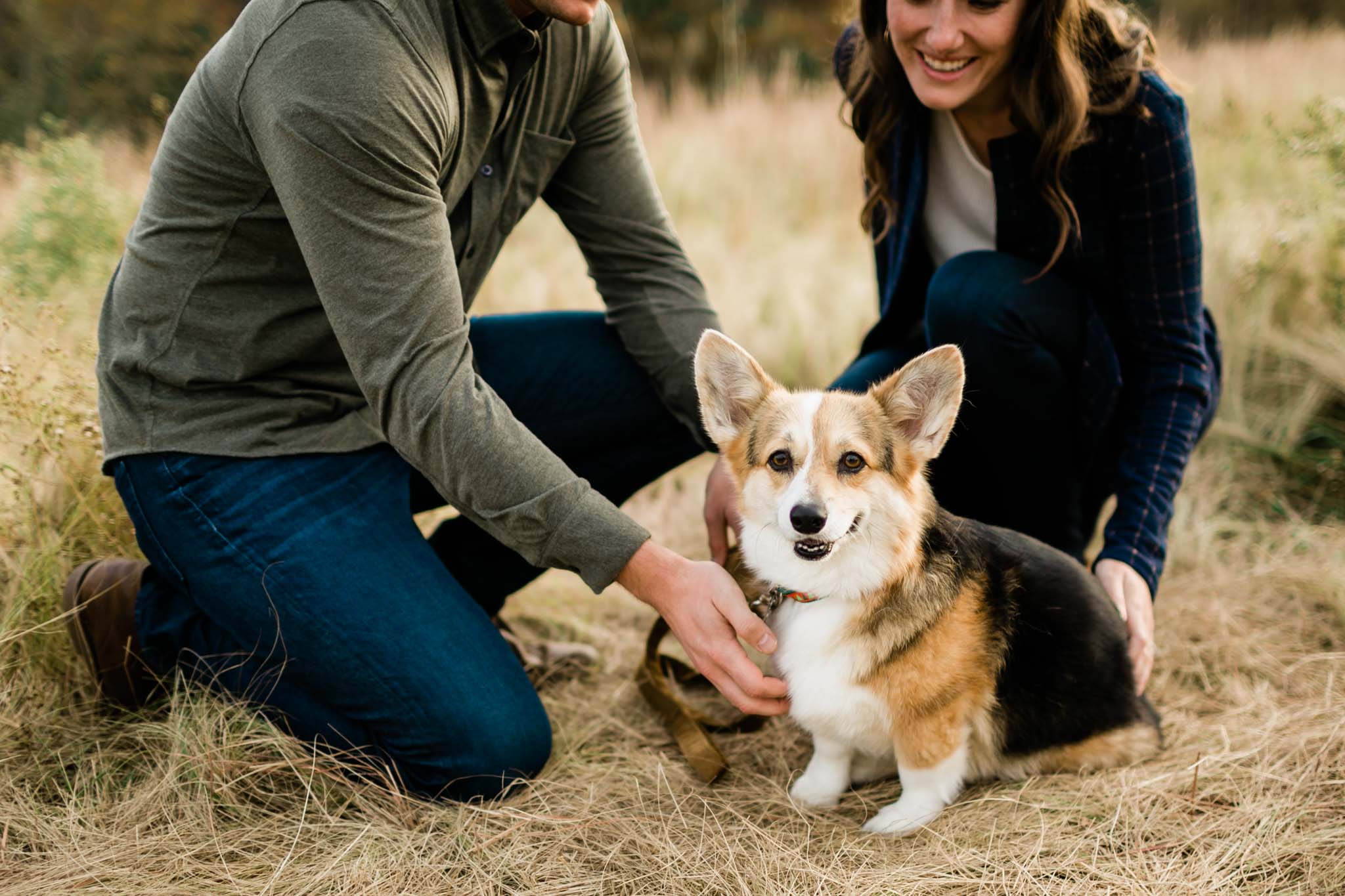 Corgi dog portrait at NCMA | Raleigh Pet Photographer | By G. Lin Photography