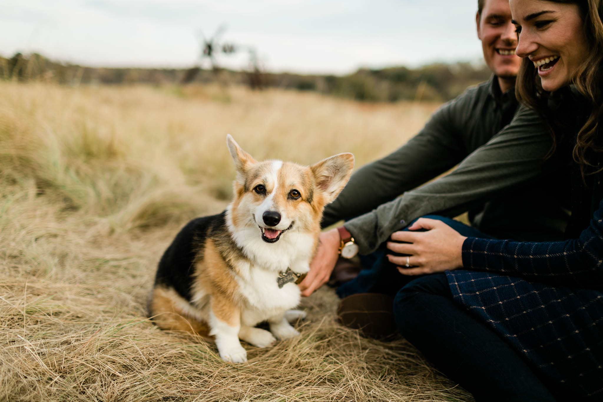 Cute photo of corgi smiling at camera | Raleigh Pet Photographer | By G. Lin Photography