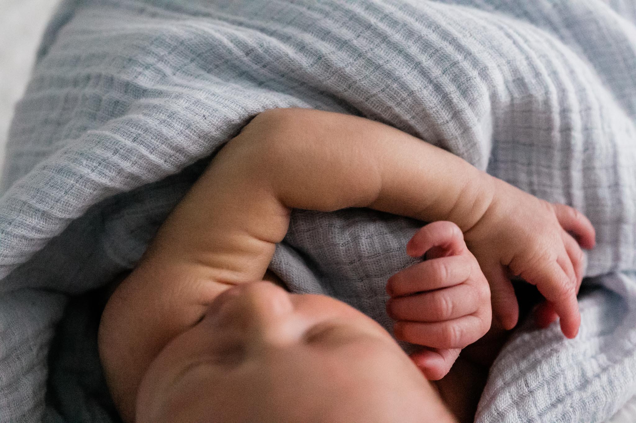 Raleigh Newborn Photographer | By G. Lin Photography | Close up portrait of baby's hands