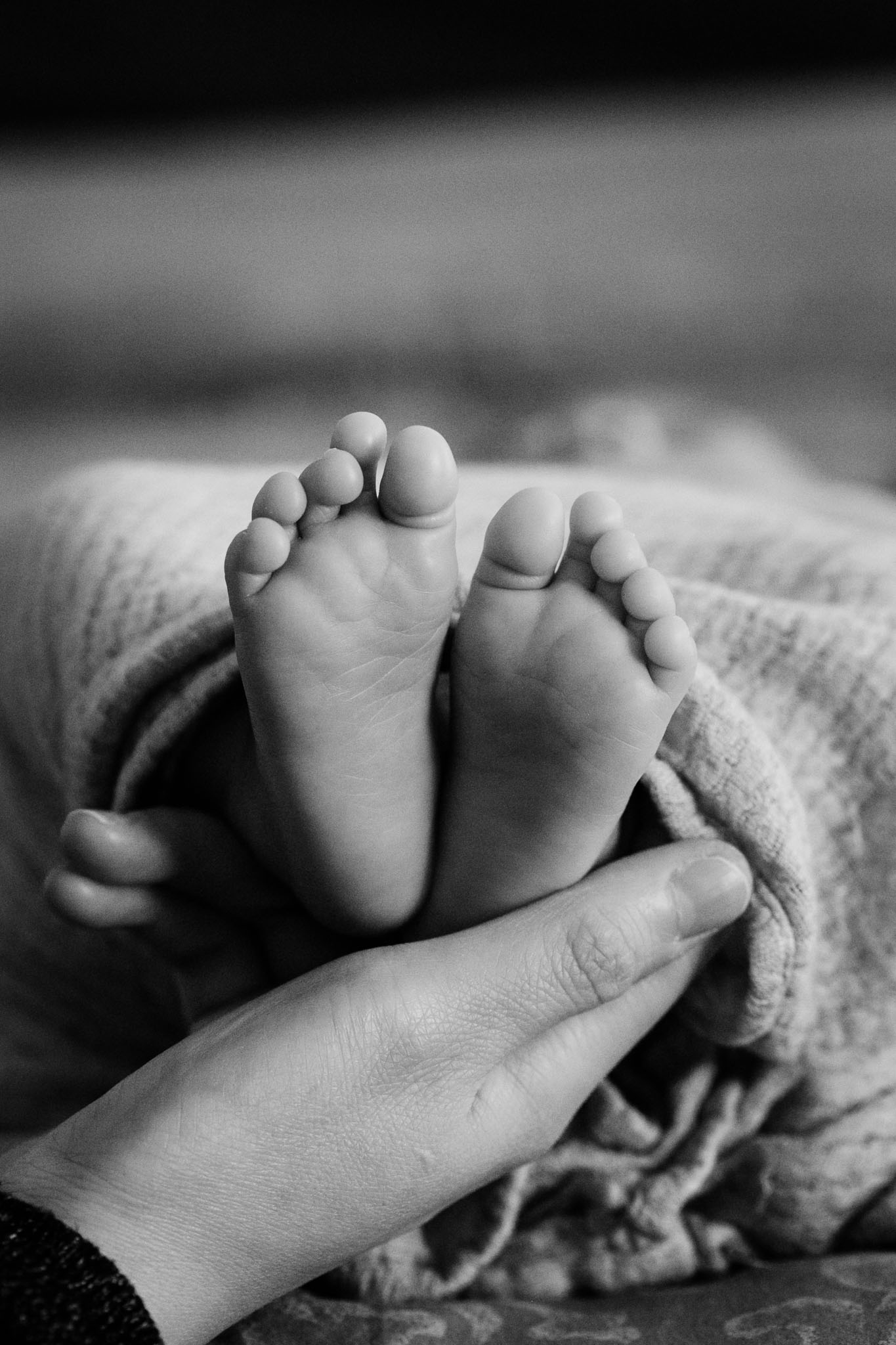 Close up of baby's feet | Newborn Photography in Durham NC | By G. Lin Photography