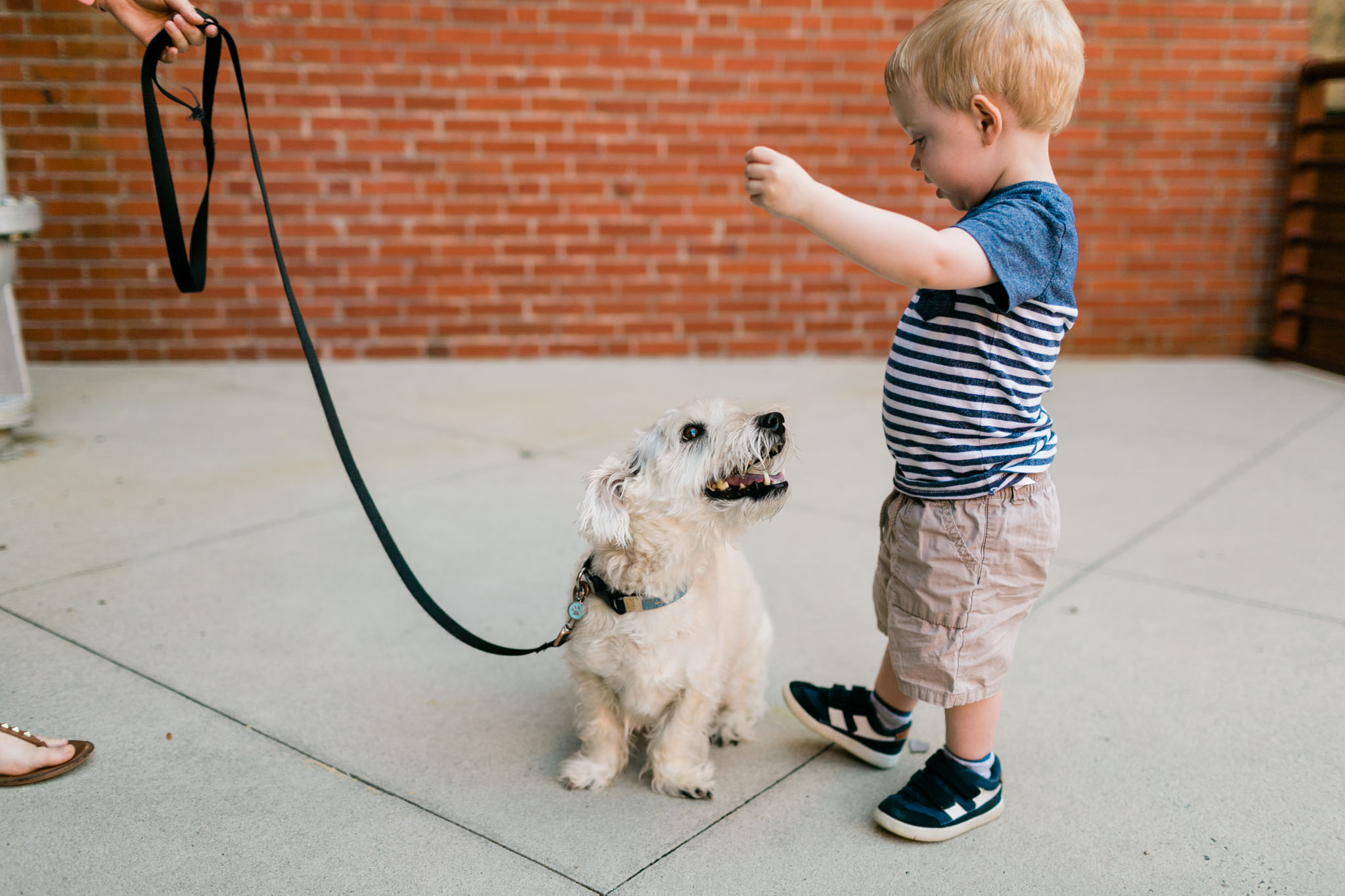 Boy playing with dog outside | Durham Photographer | By G. Lin Photography