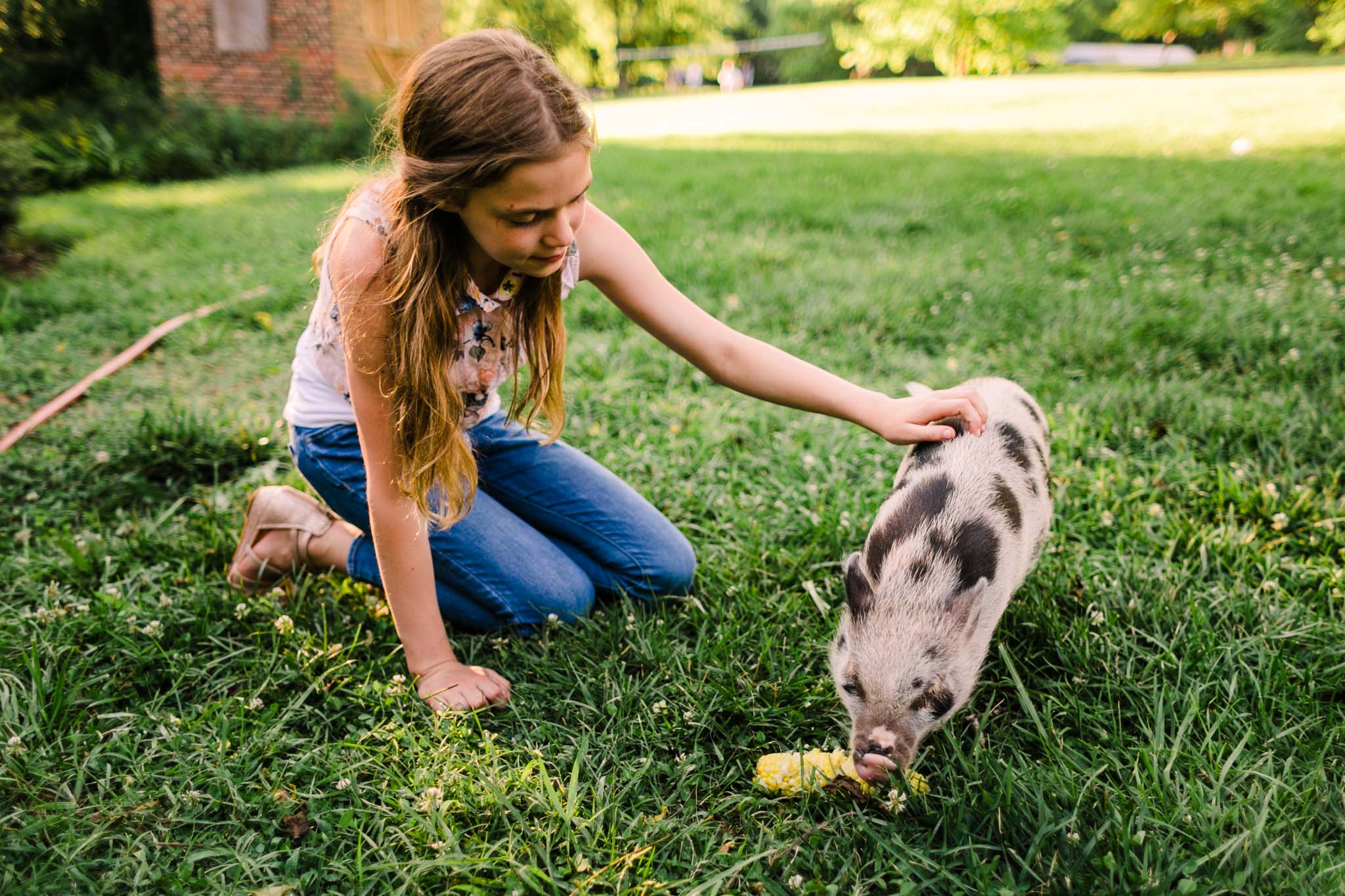 Durham Family Photographer | By G. Lin Photography | Portrait of girl petting miniature pig outside
