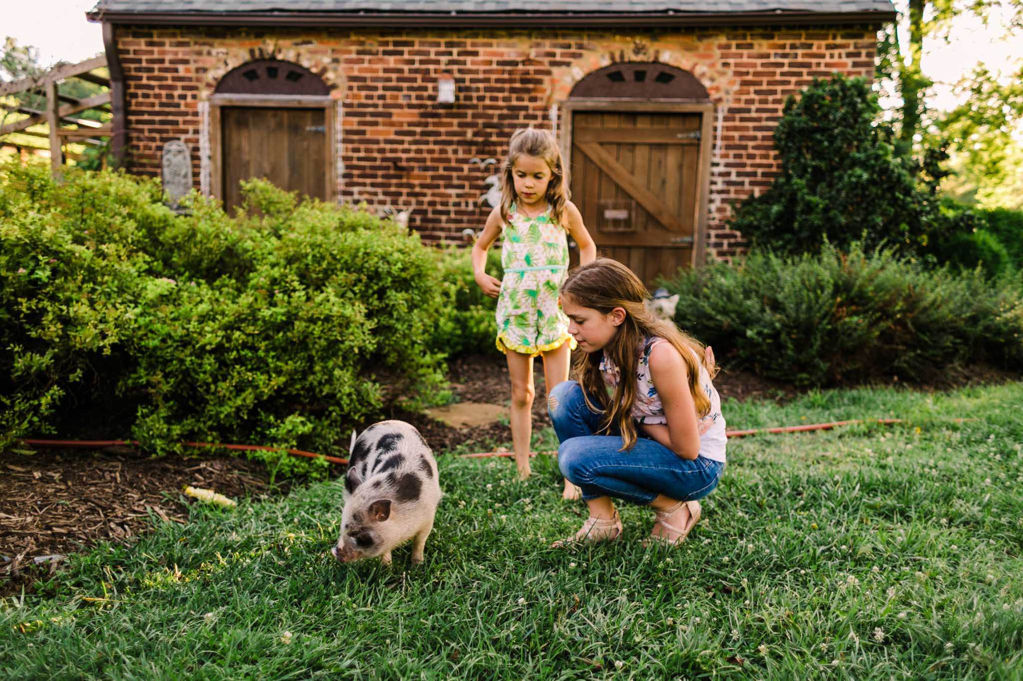 Durham Family Photographer | By G. Lin Photography | Portrait of girls playing with pig outside