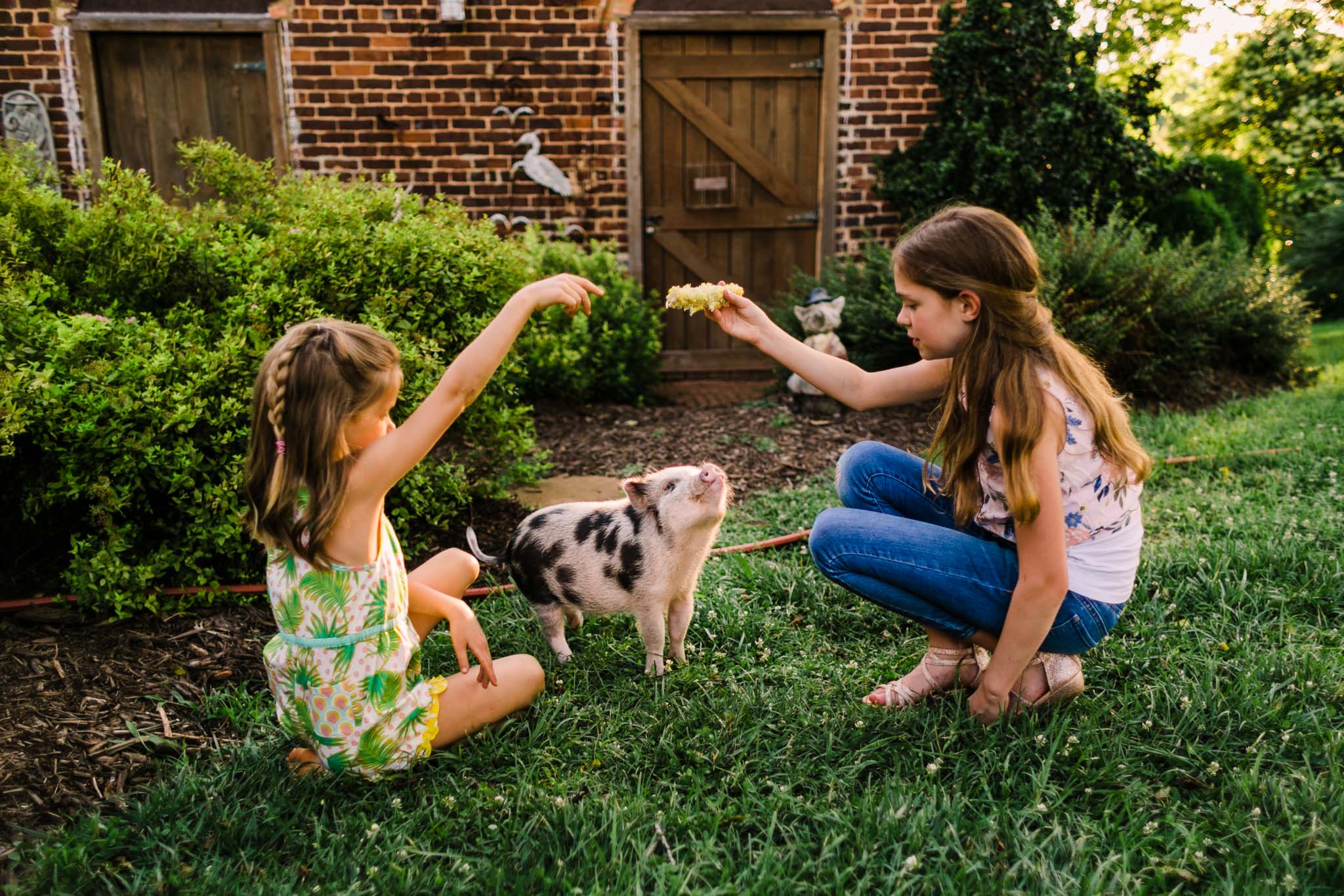 Durham Family Photographer | By G. Lin Photography | Girls playing with miniature pig