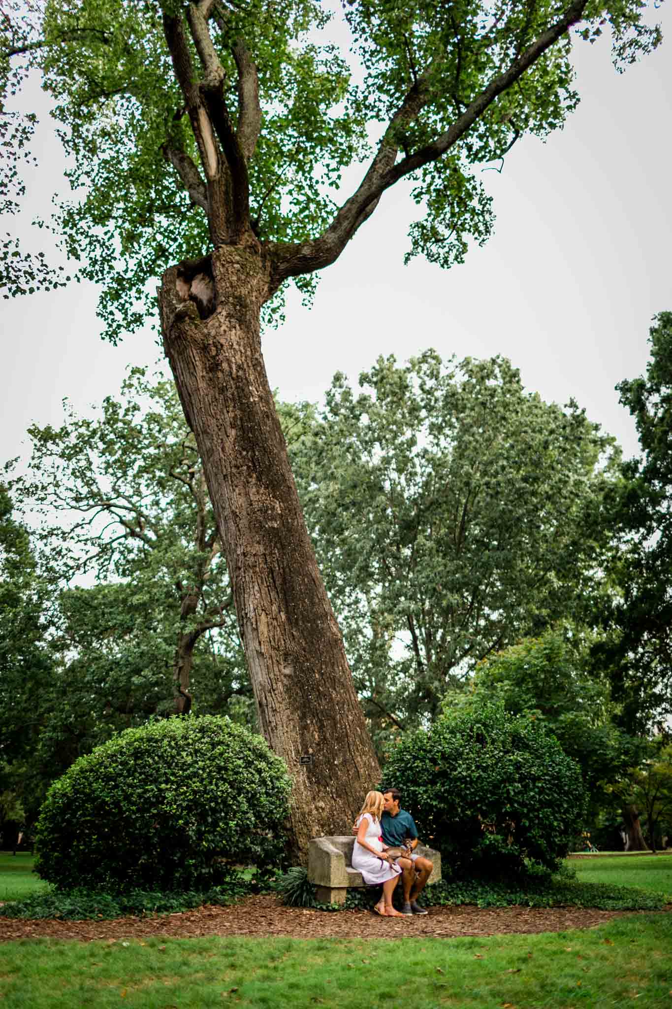 Couple kissing on Davie Bench at UNC | Chapel Hill Family Photographer | By G. Lin Photography