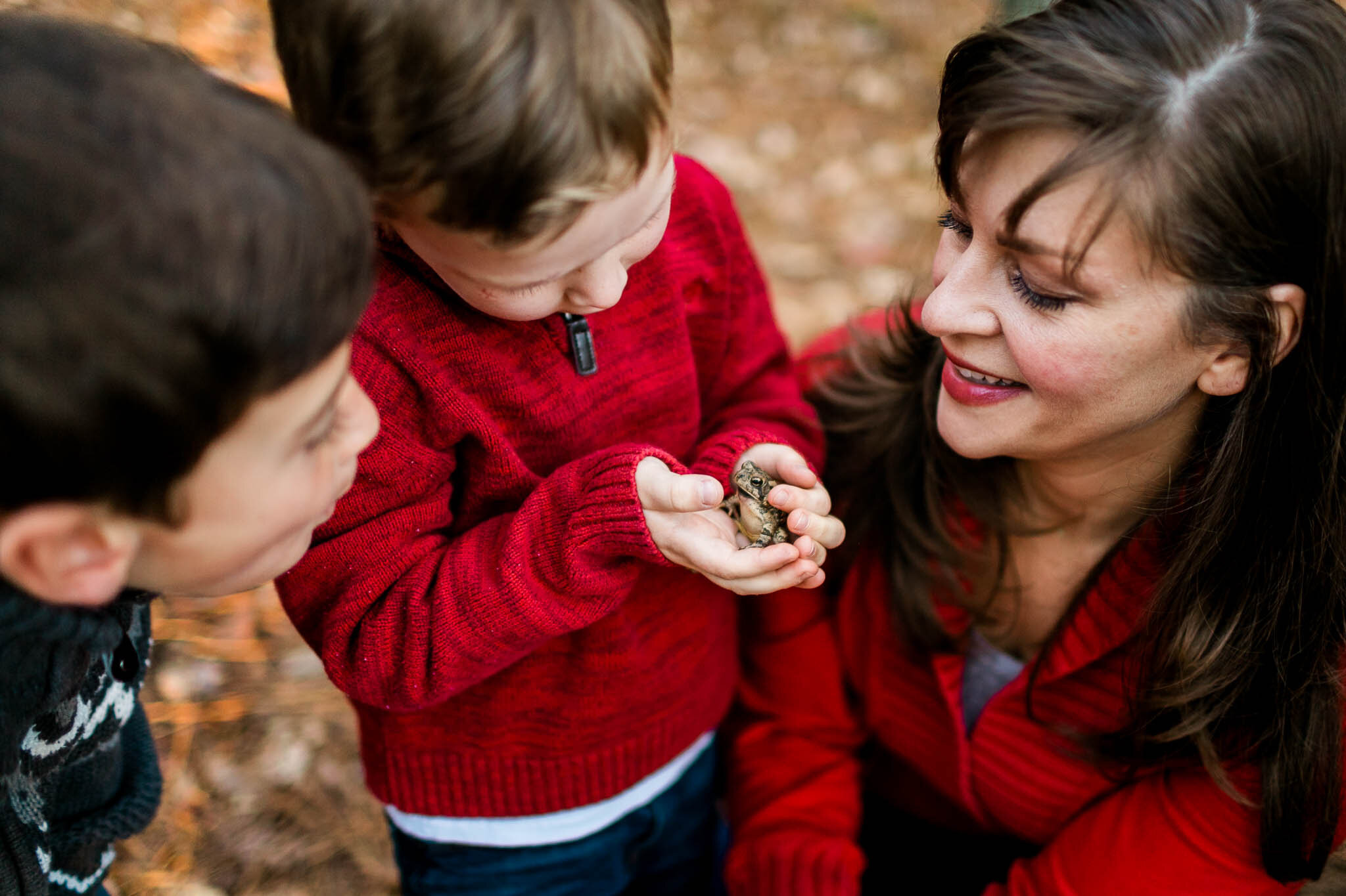 Raleigh Family Photographer | By G. Lin Photography | Young boy holding a toad