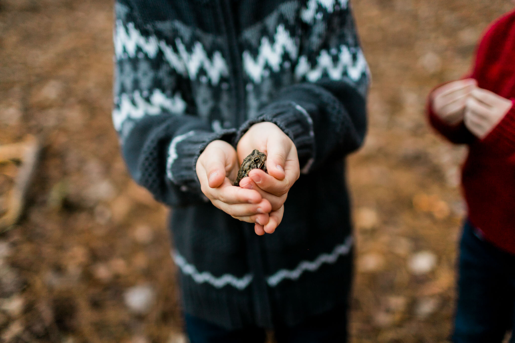 Raleigh Family Photographer | By G. Lin Photography | Hands holding a toad at park