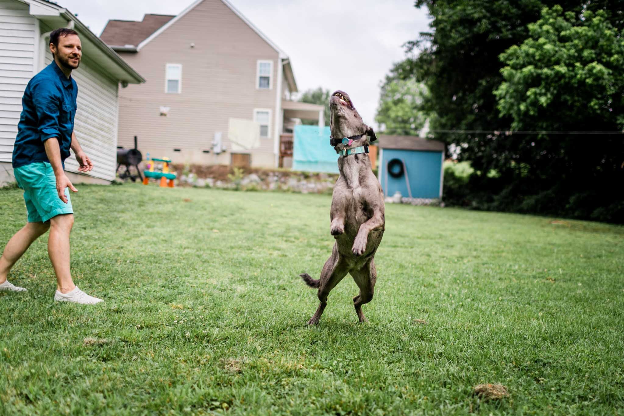 Raleigh Family Photographer | By G. Lin Photography | Dog catching ball in the air