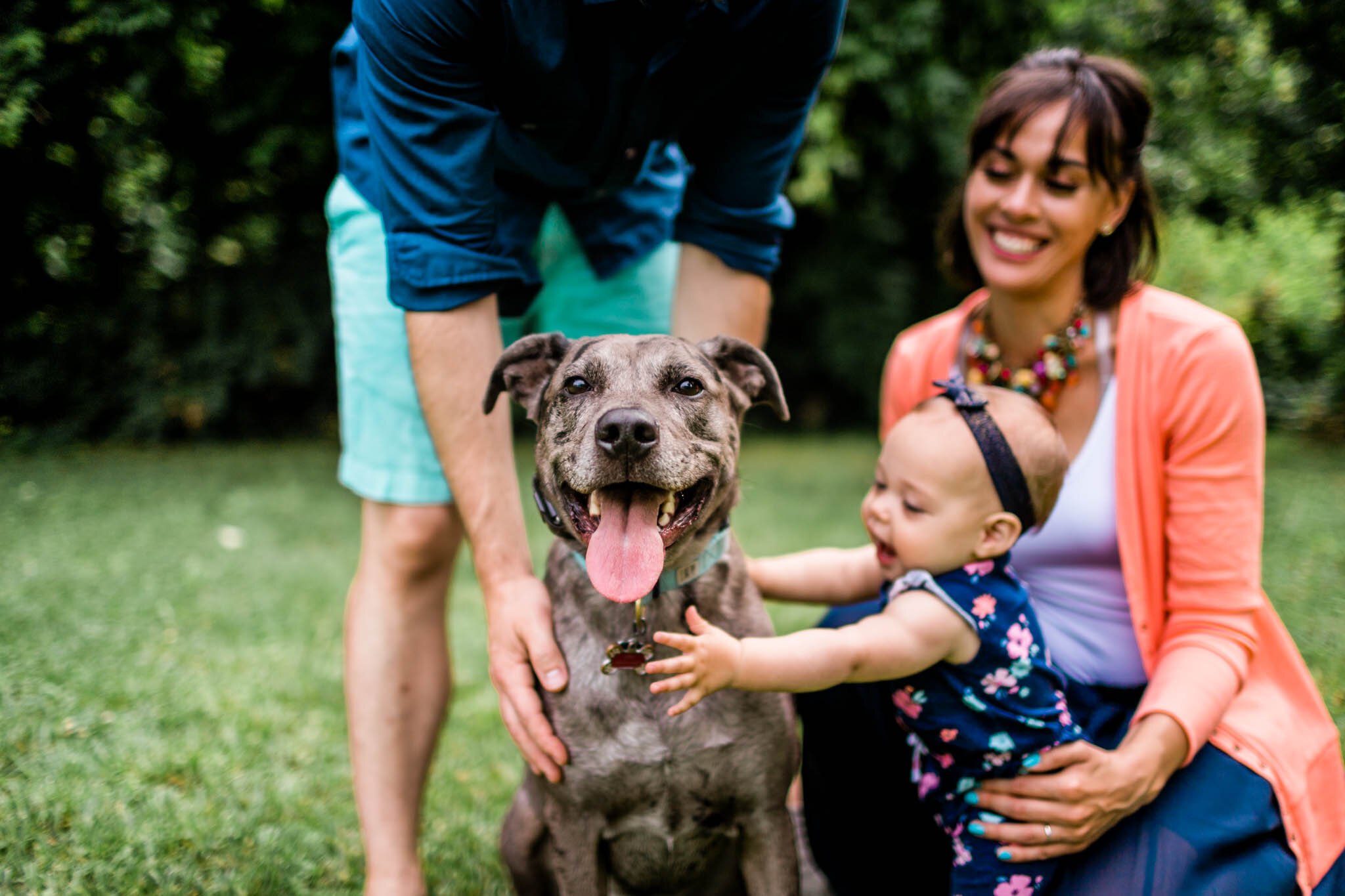 Raleigh Family Photographer | By G. Lin Photography | Dog smiling at camera while baby girl petting dog