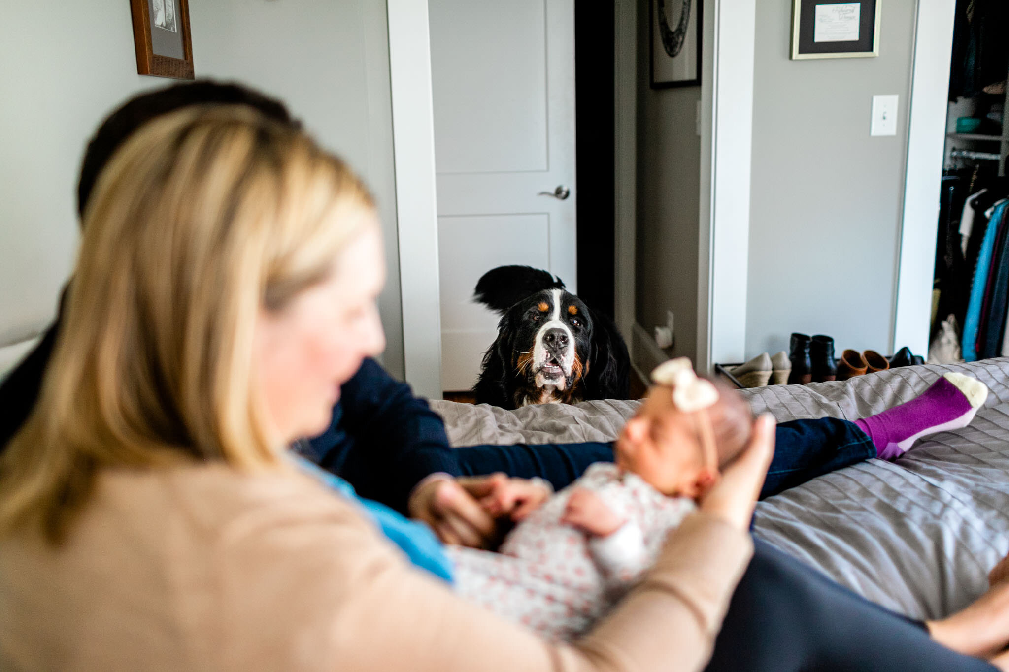 Durham Newborn Photographer | By G. Lin Photography | Dog looking at family