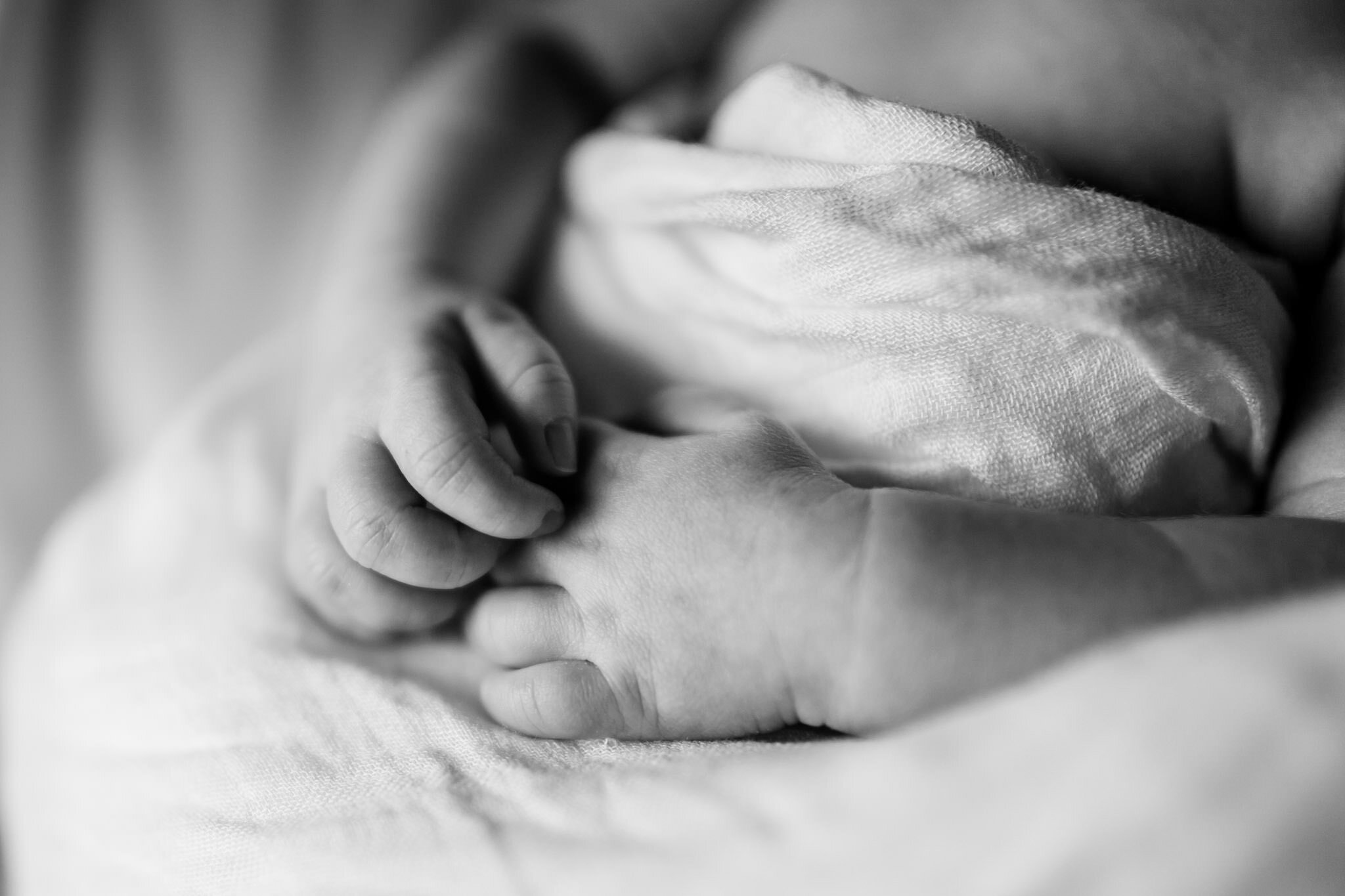 Durham Newborn Photographer | By G. Lin Photography | Baby's hands