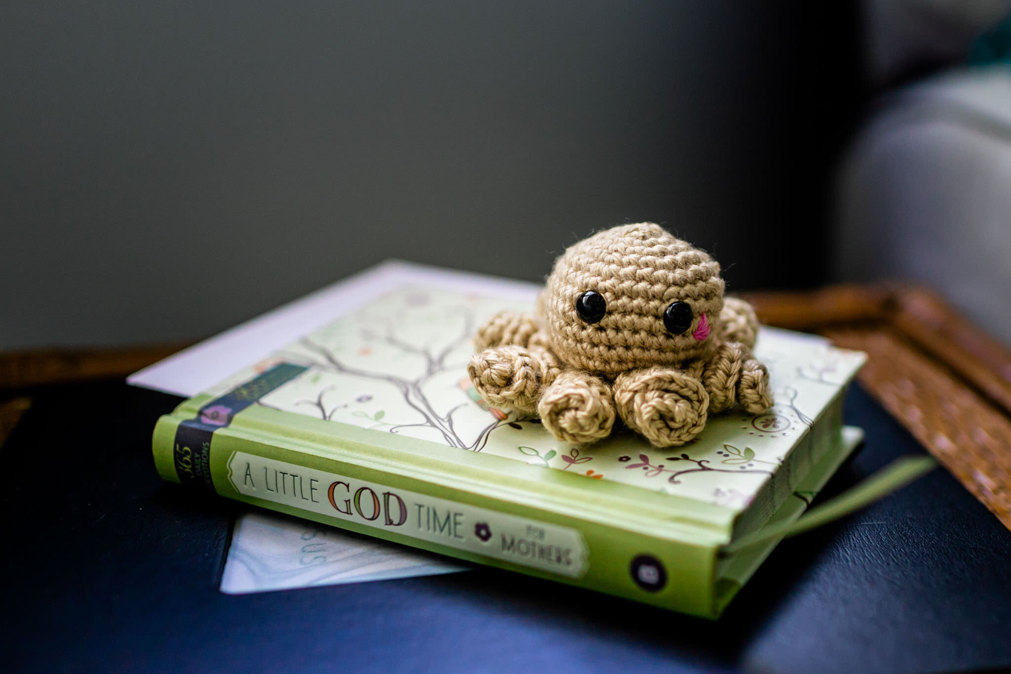 Durham Newborn Photographer | By G. Lin Photography | Crochet octopus on top of book