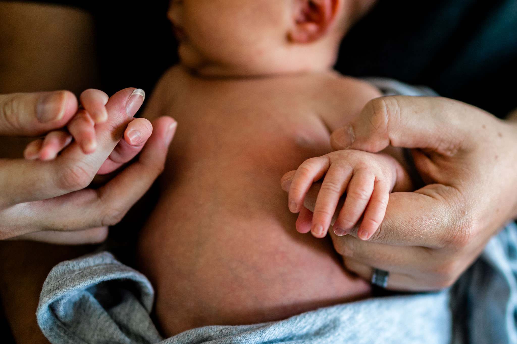 Close up of baby's hands | Holly Spring Newborn Photographer | By G. Lin Photography