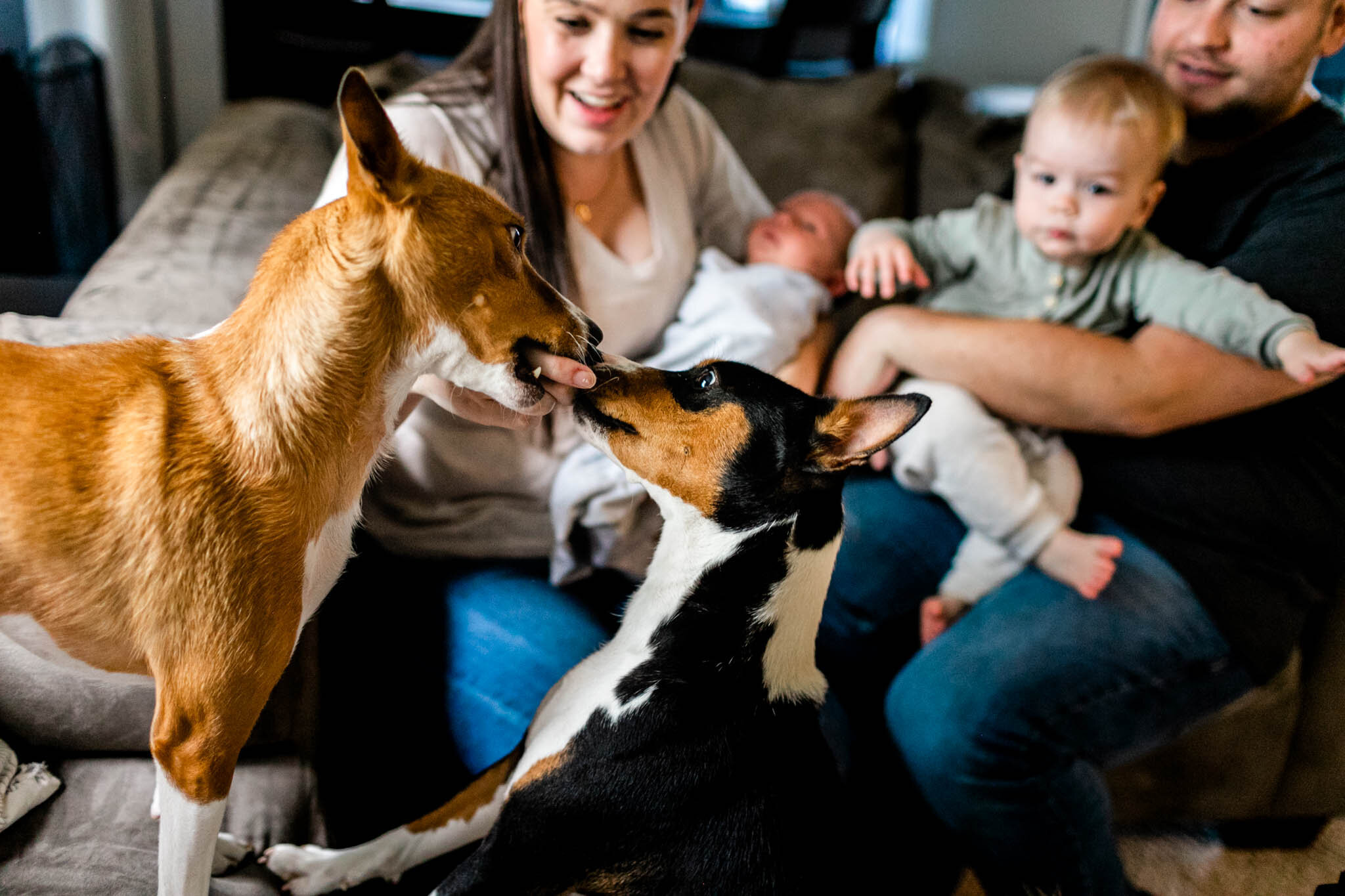 Candid photo of family feeding dogs | Holly Spring Newborn Photographer | By G. Lin Photography