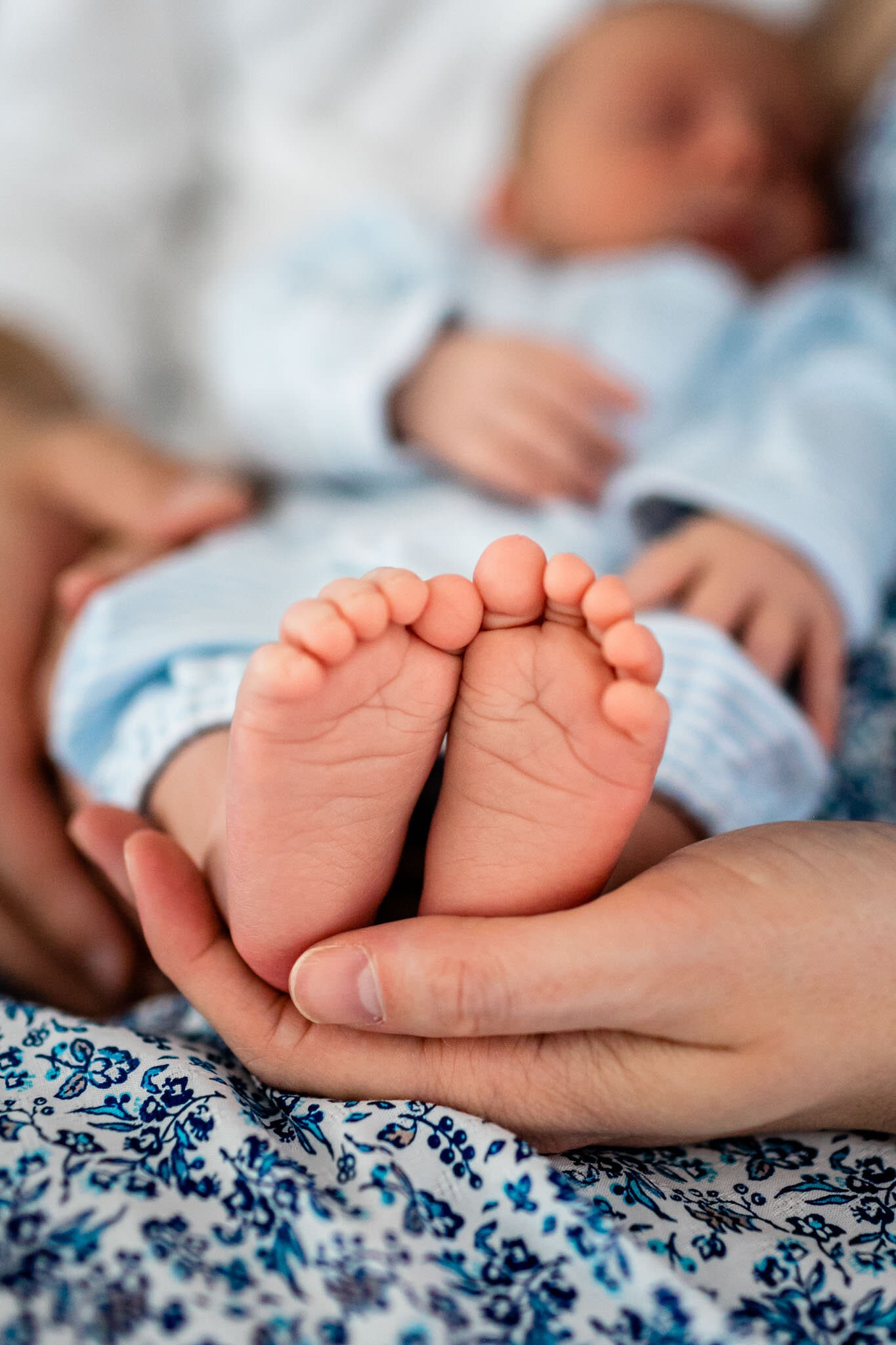 Close up of baby's feet | Greensboro Newborn Photographer | By G. Lin Photography