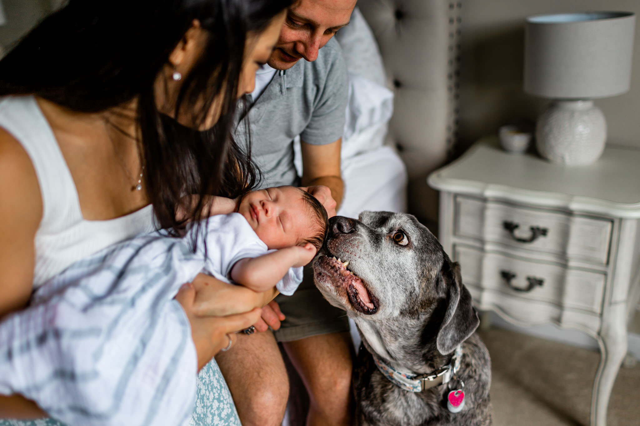 Candid photo of dog licking baby | Durham Newborn Photographer | By G. Lin Photography