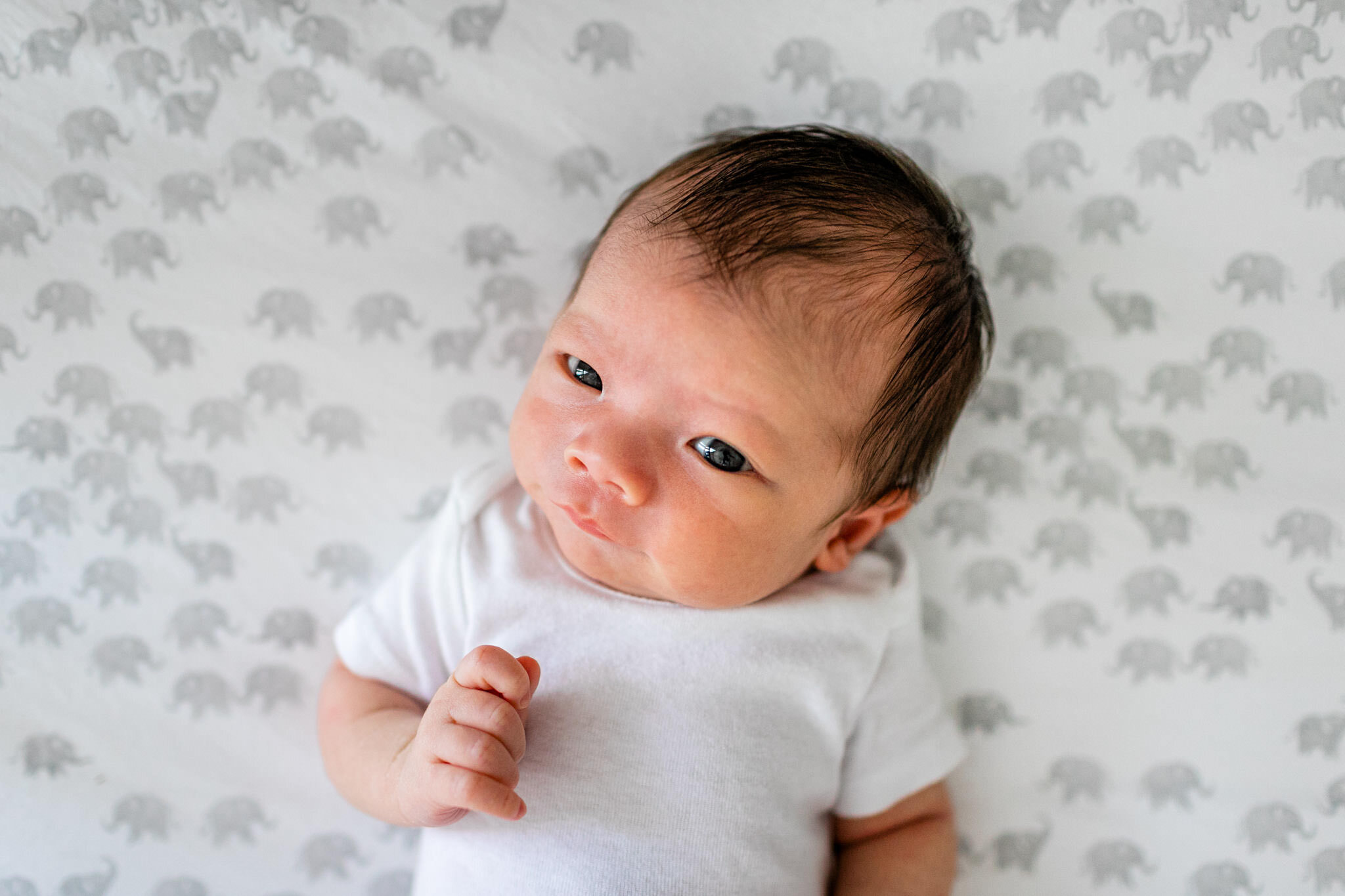 Cute baby boy looking at camera | Durham Newborn Photographer | By G. Lin Photography