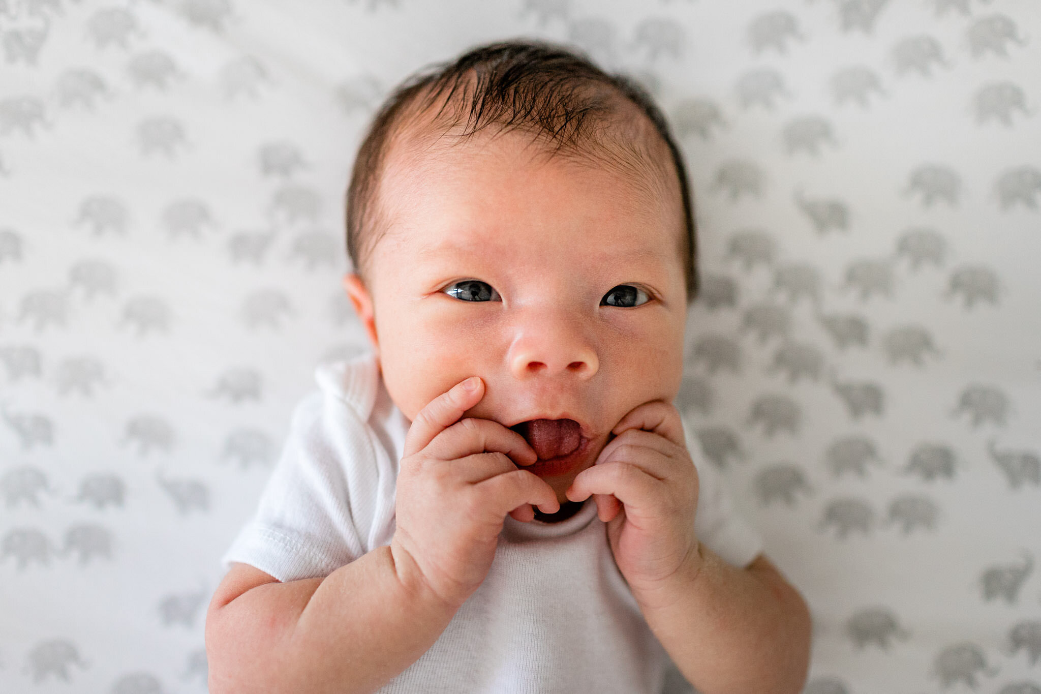 Baby with hands to his mouth | Durham Newborn Photographer | By G. Lin Photography
