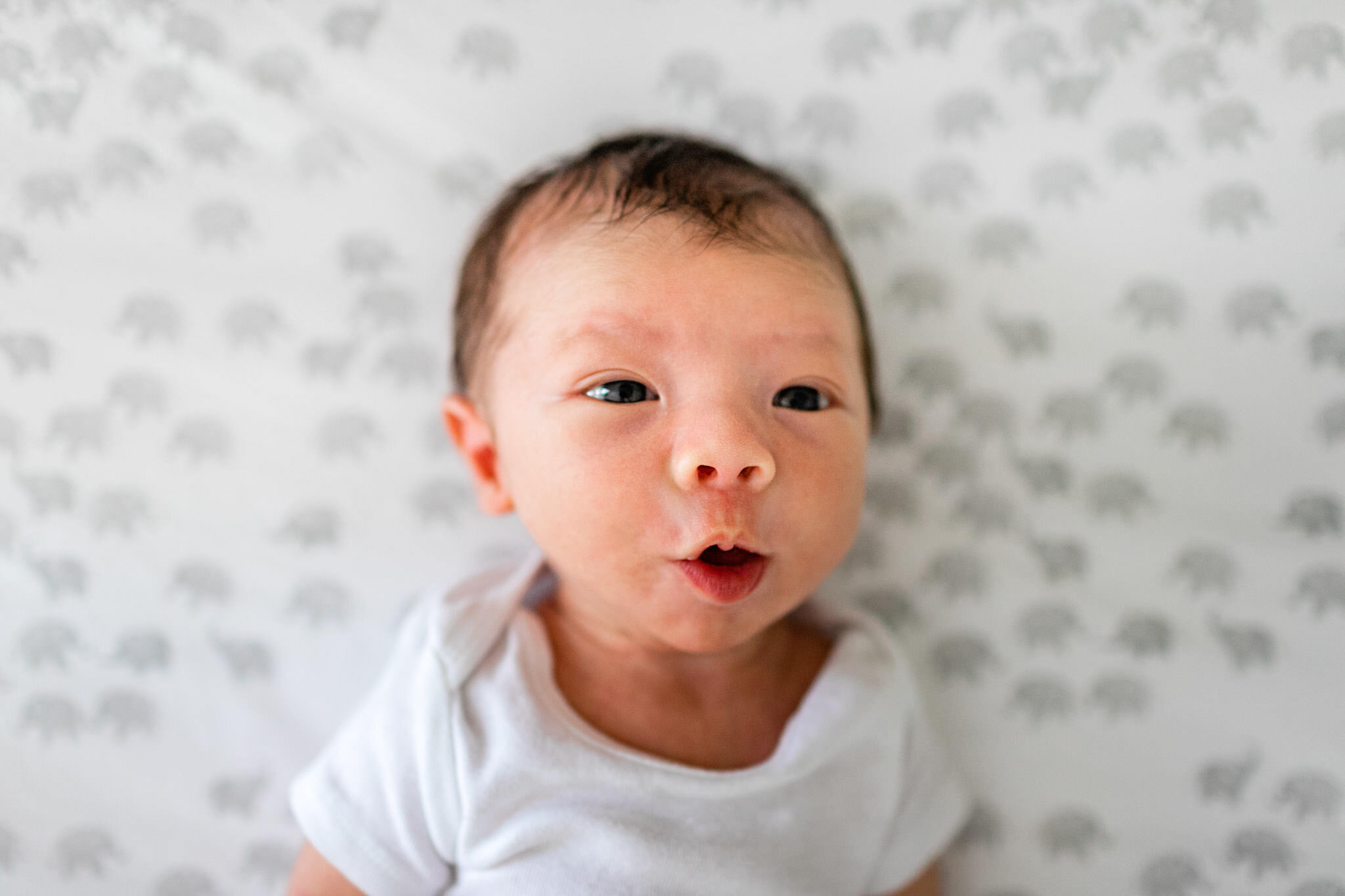 Baby making cute and funny expression | Durham Newborn Photographer | By G. Lin Photography