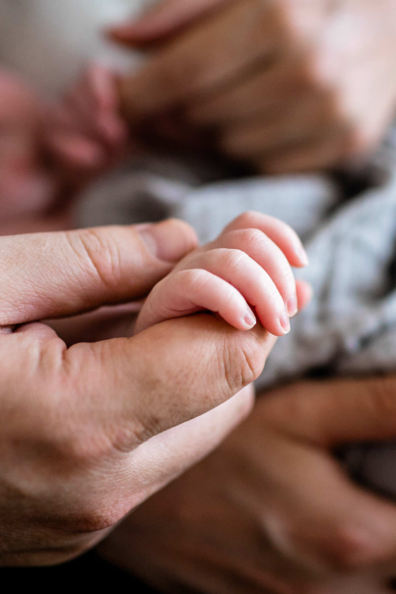 Close up of baby's hands | Durham Newborn Photographer | By G. Lin Photography
