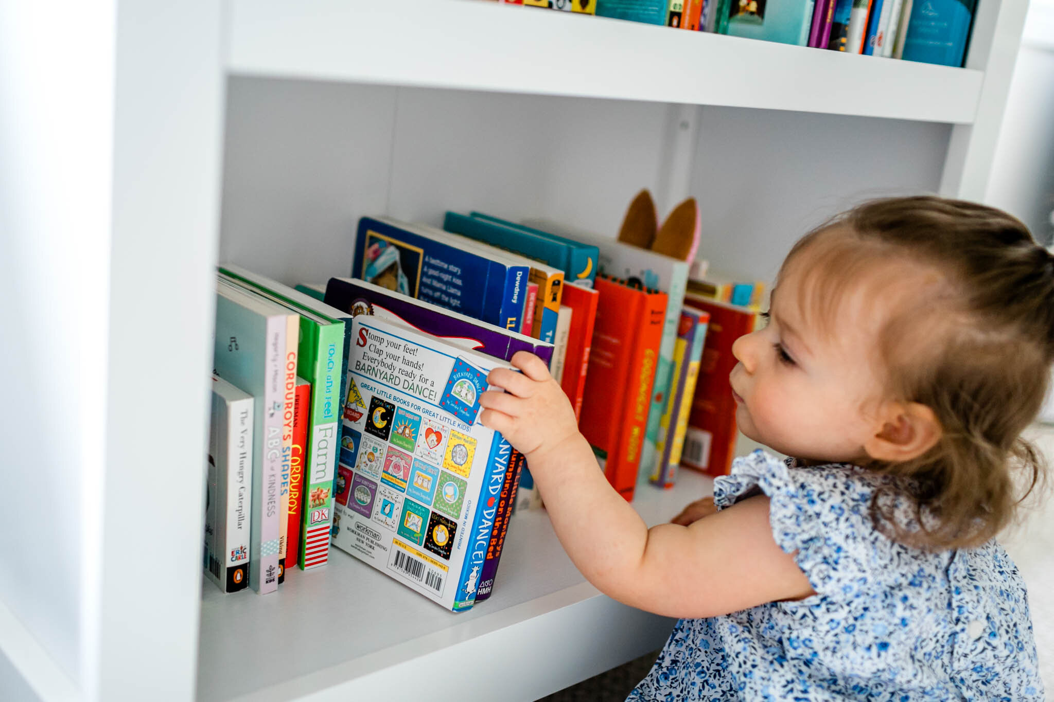 Baby girl pulling books off shelf | Durham Family Photographer | By G. Lin Photography 