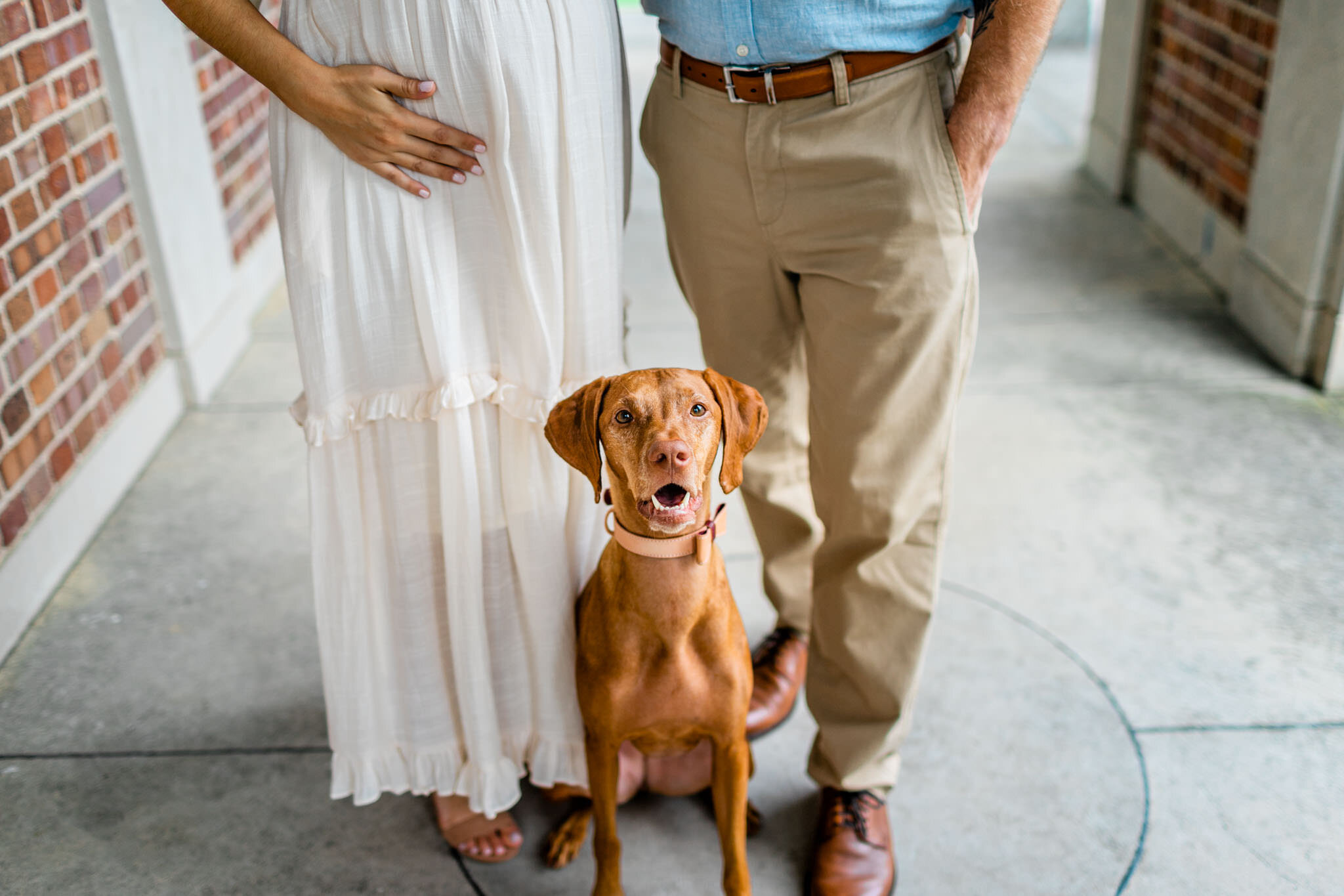 UNC Chapel Hill Maternity Photography | By G. Lin Photography | Dog standing between man and woman and smiling at camera